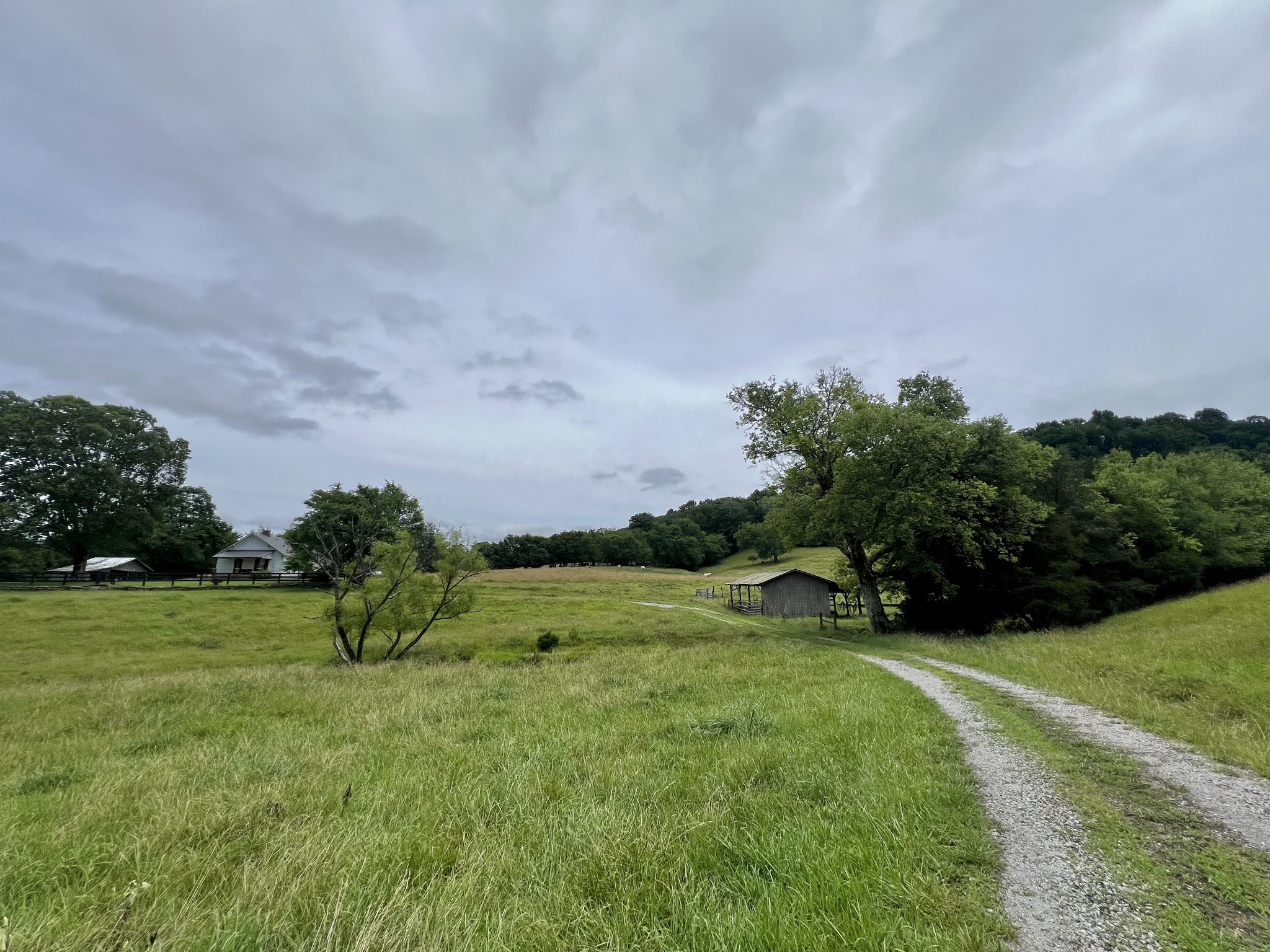 117 Cornersville Access Rd