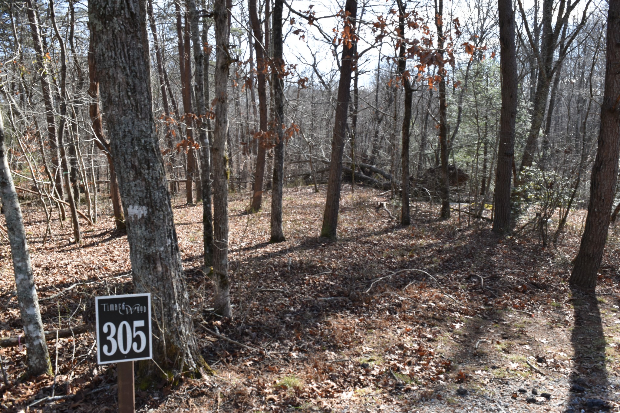 305 Timberwood Trace