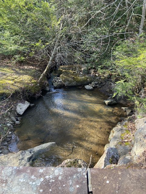 305 Timberwood Trace Monteagle TN 37356