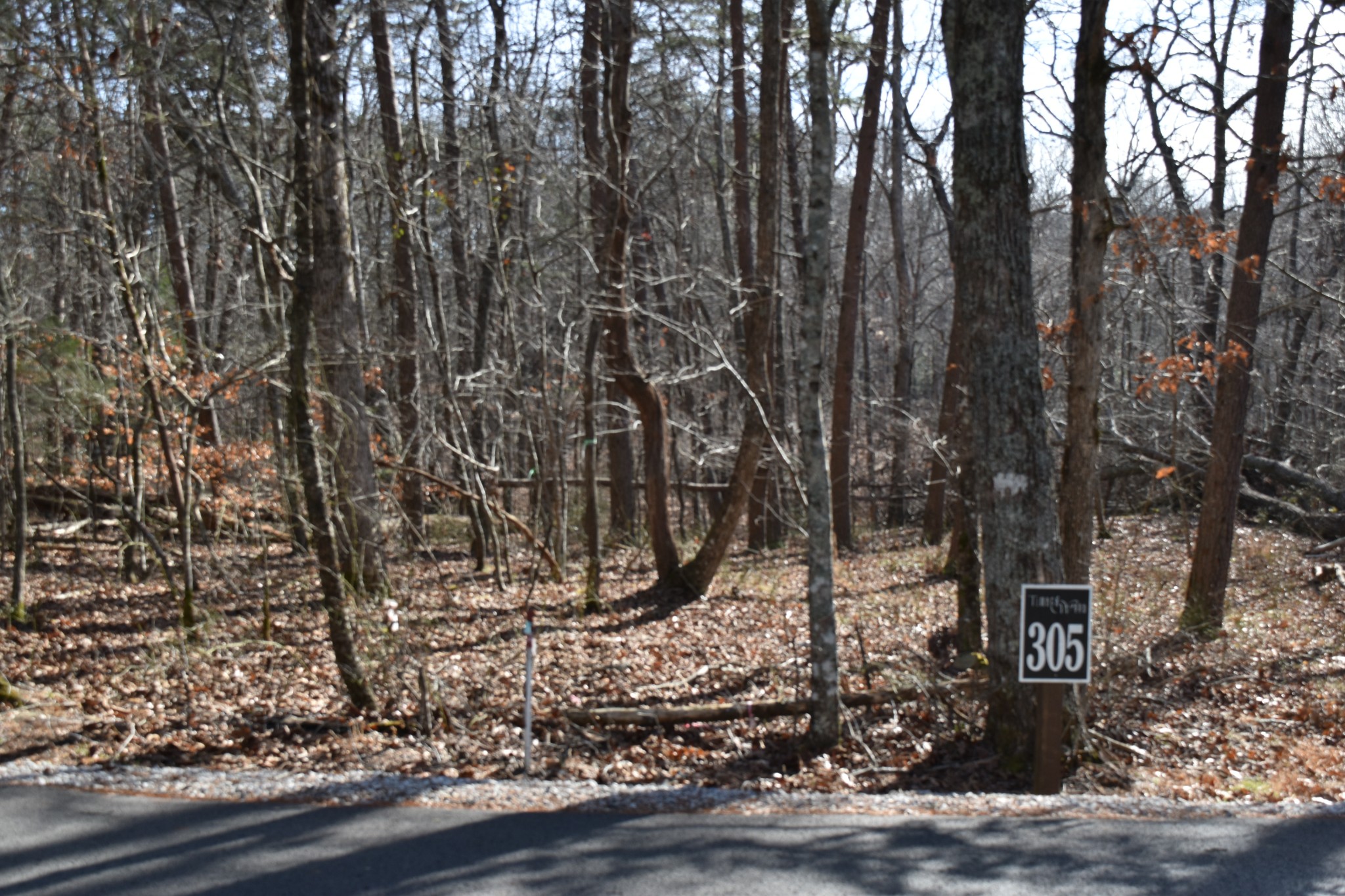 305 Timberwood Trace