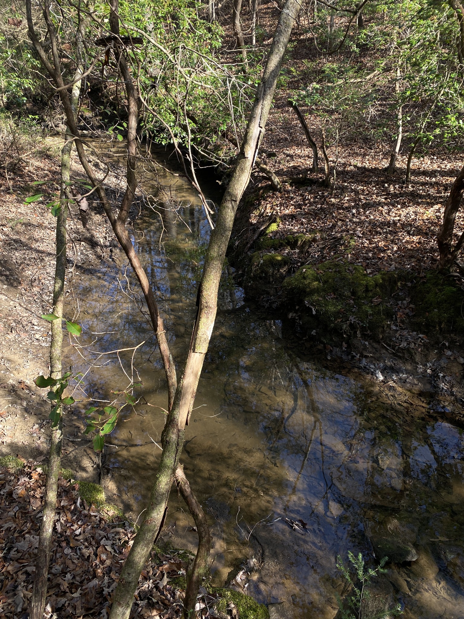 305 Timberwood Trace