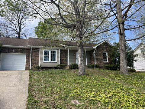 1710 Thistlewood Dr Clarksville TN 37042