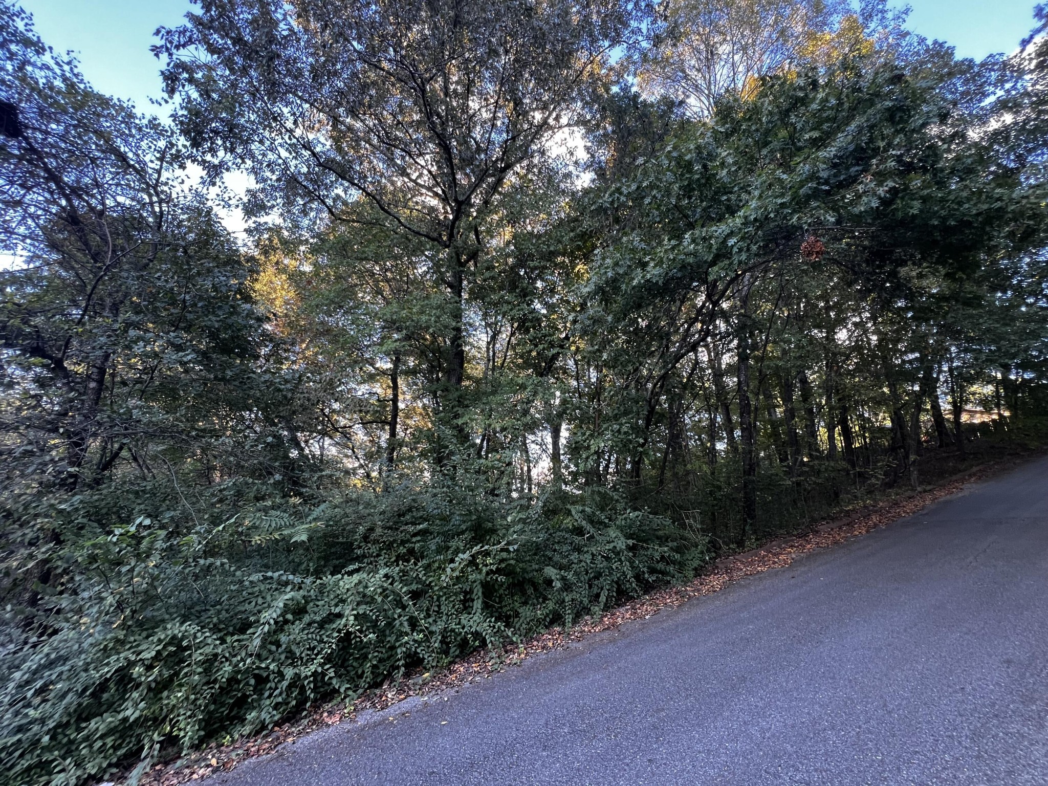 6604 Declaration Drive