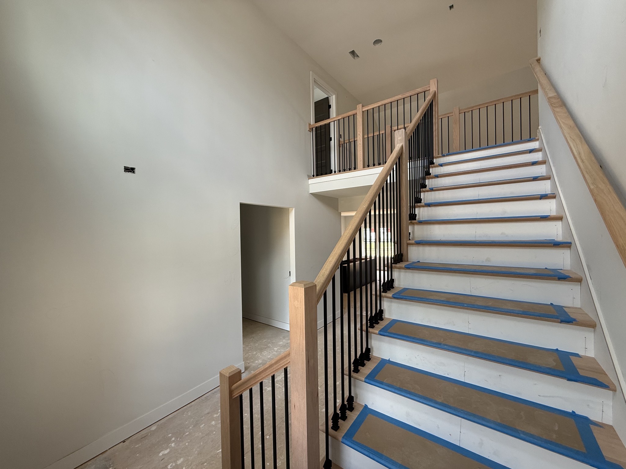 443 Spiderwort Dr