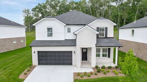 139 Blue Diamond Dr Smyrna TN 37167