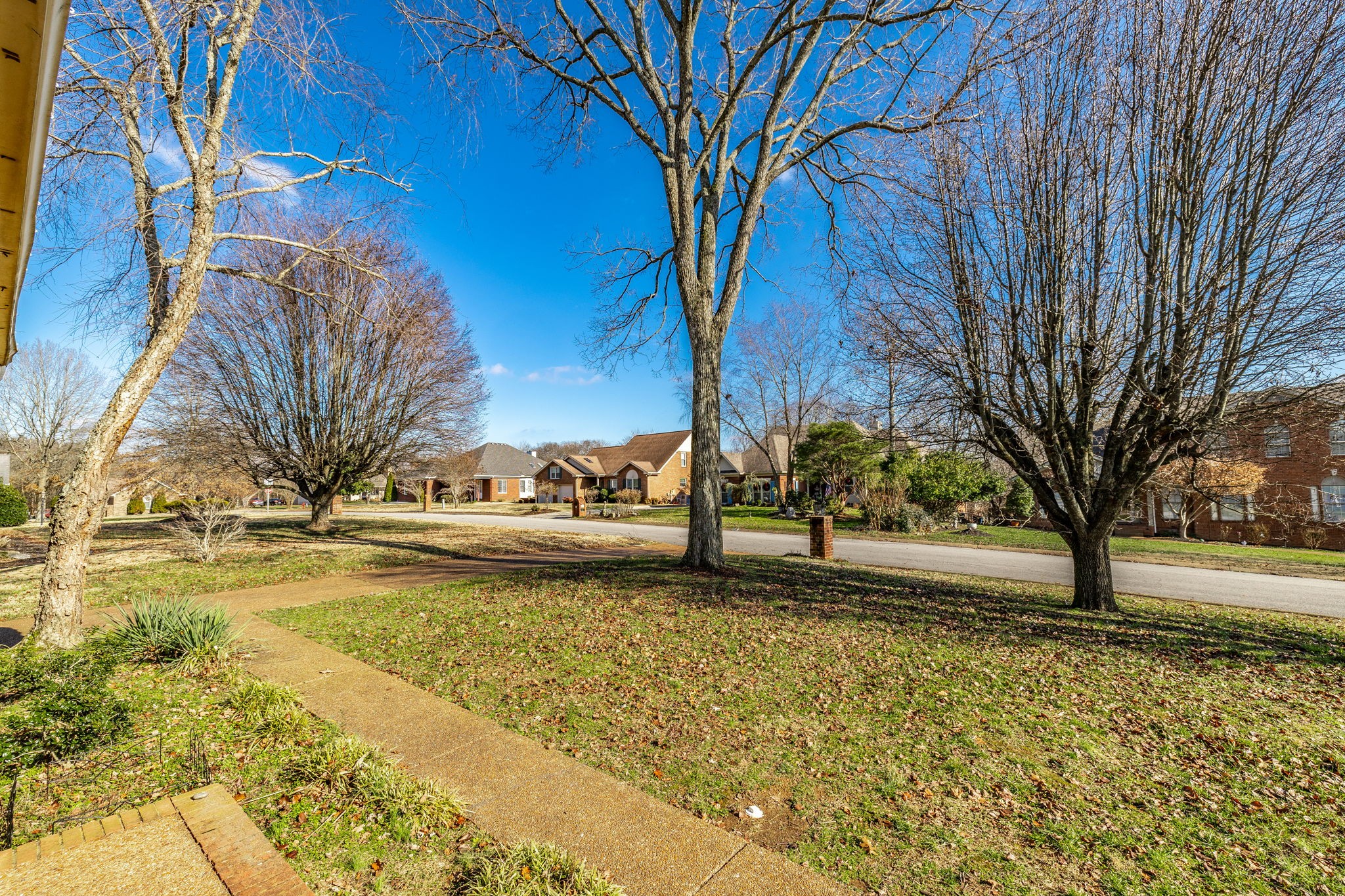 836 Rachel Dr