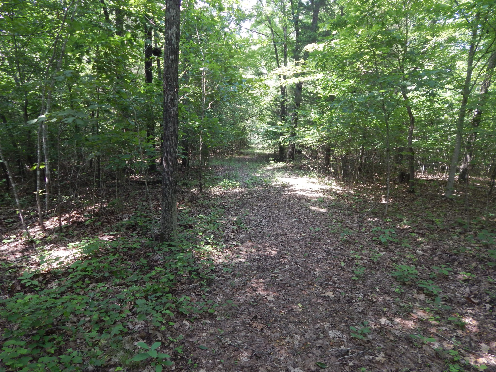 1479 Railroad Bed Rd