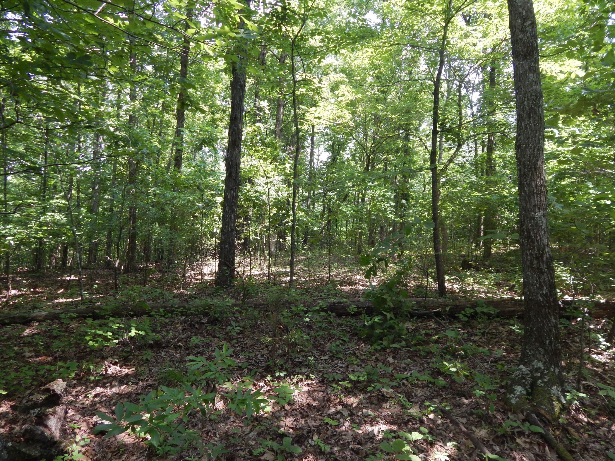 1479 Railroad Bed Rd