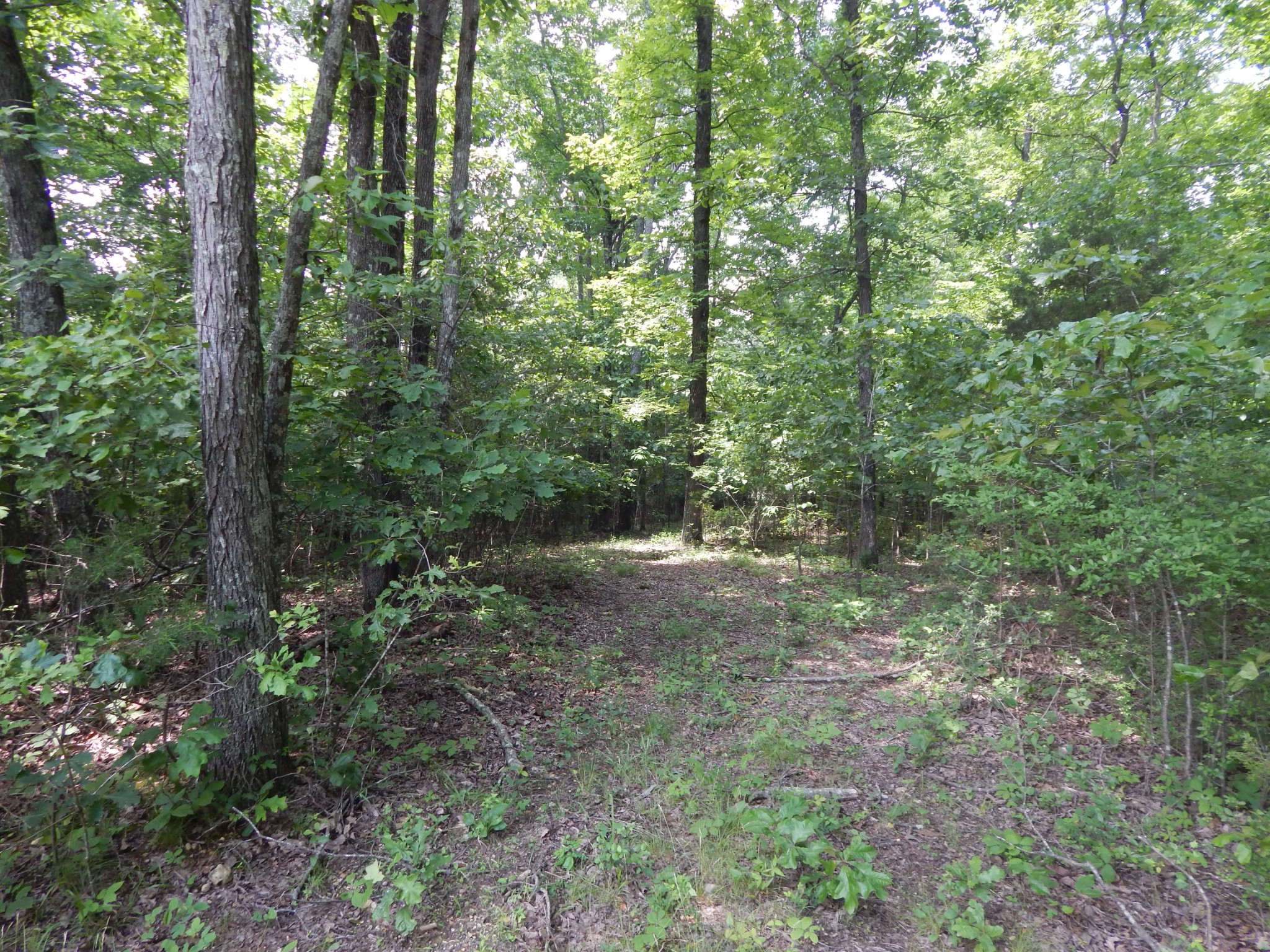 1479 Railroad Bed Rd