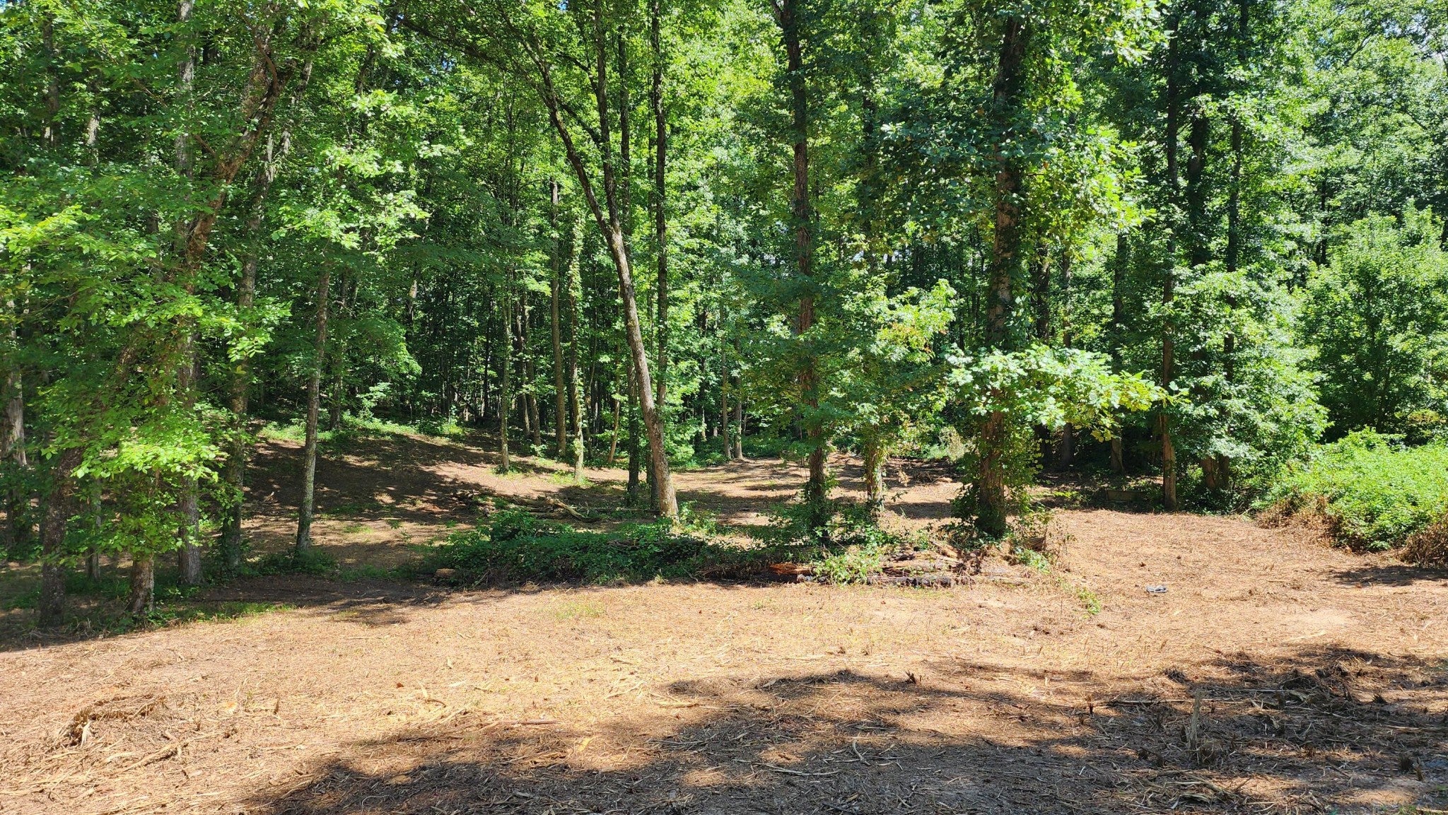 375 Goins Hill Road
