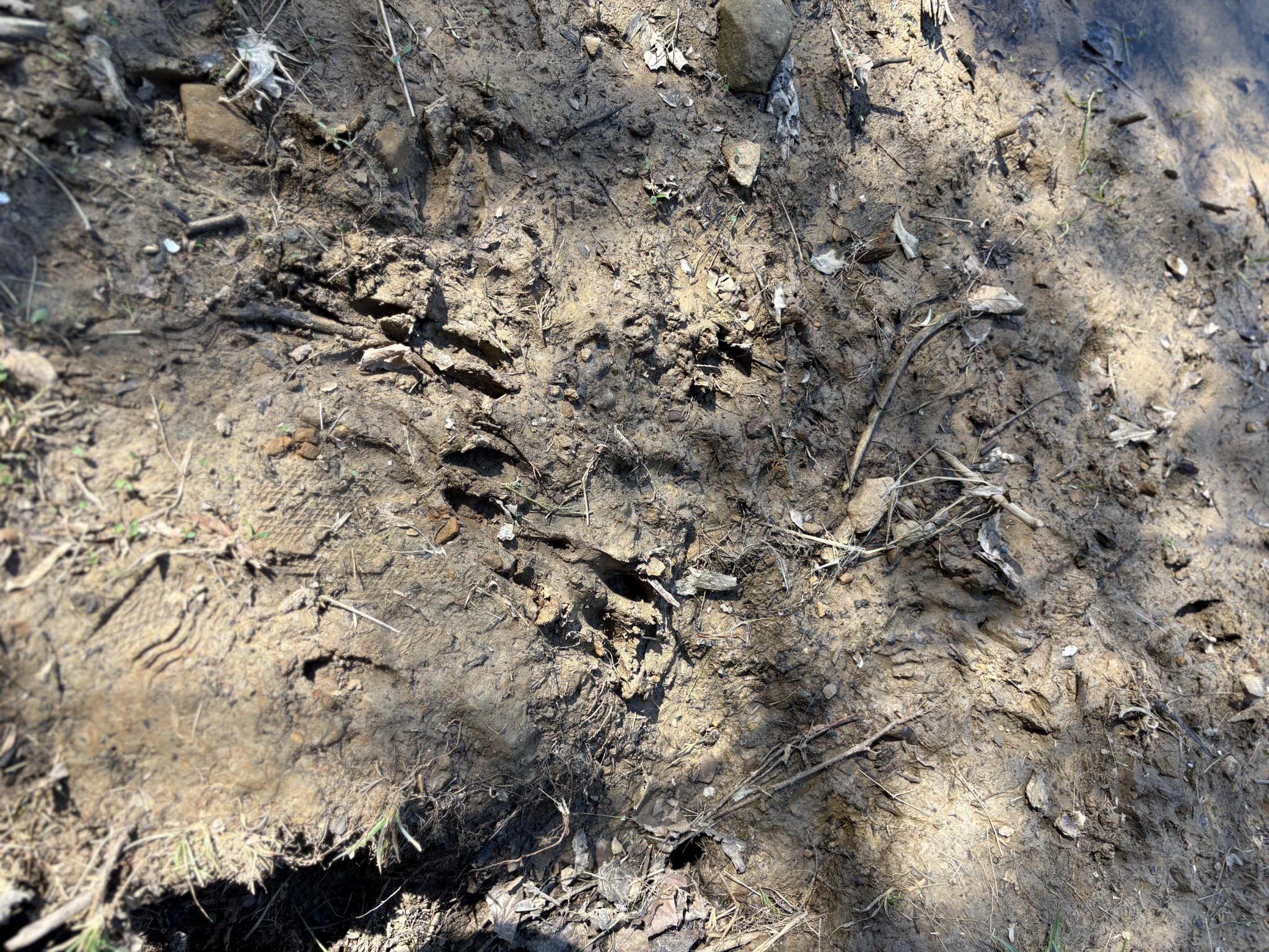 1000 State Route 831