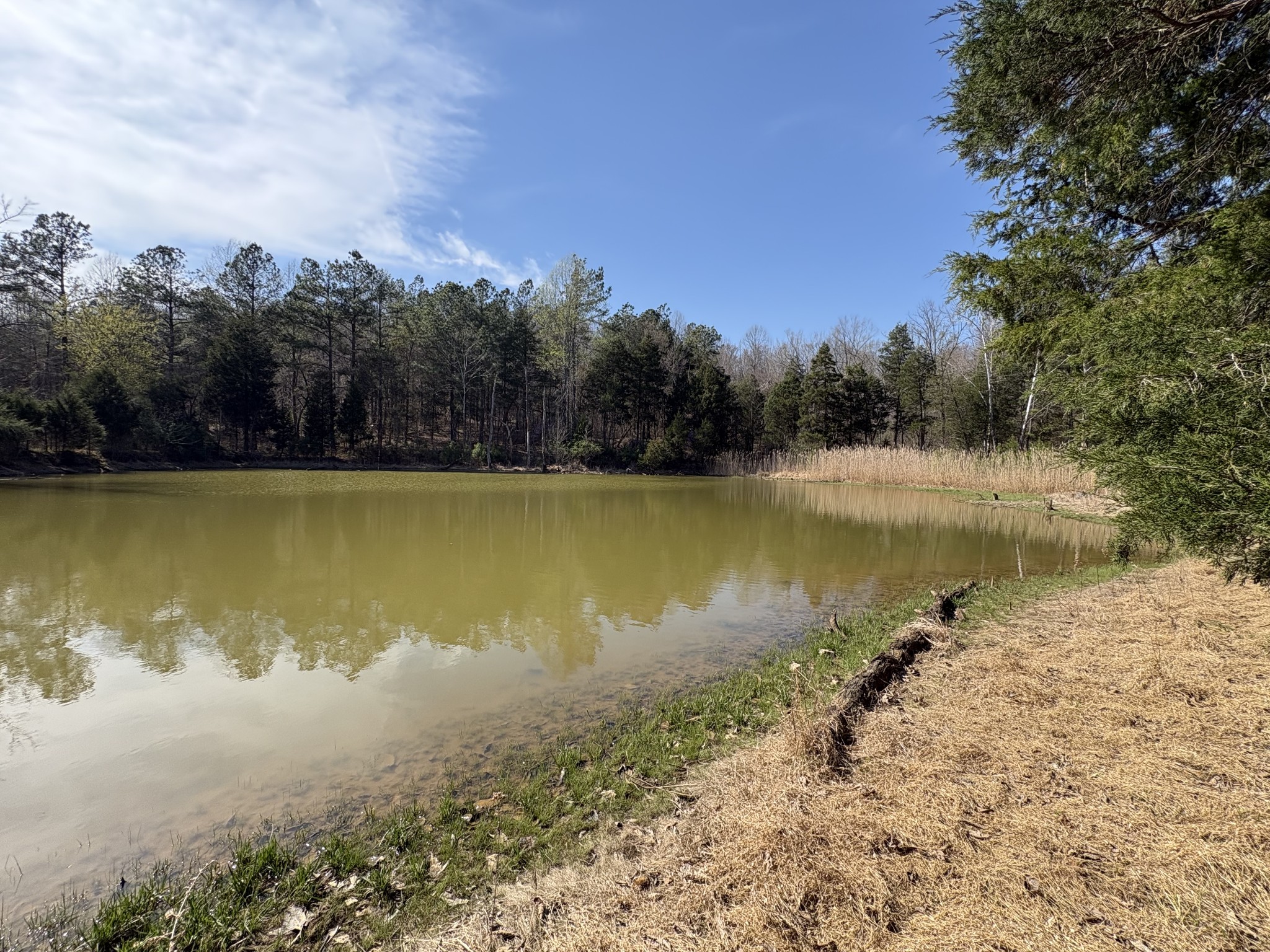 1000 State Route 831