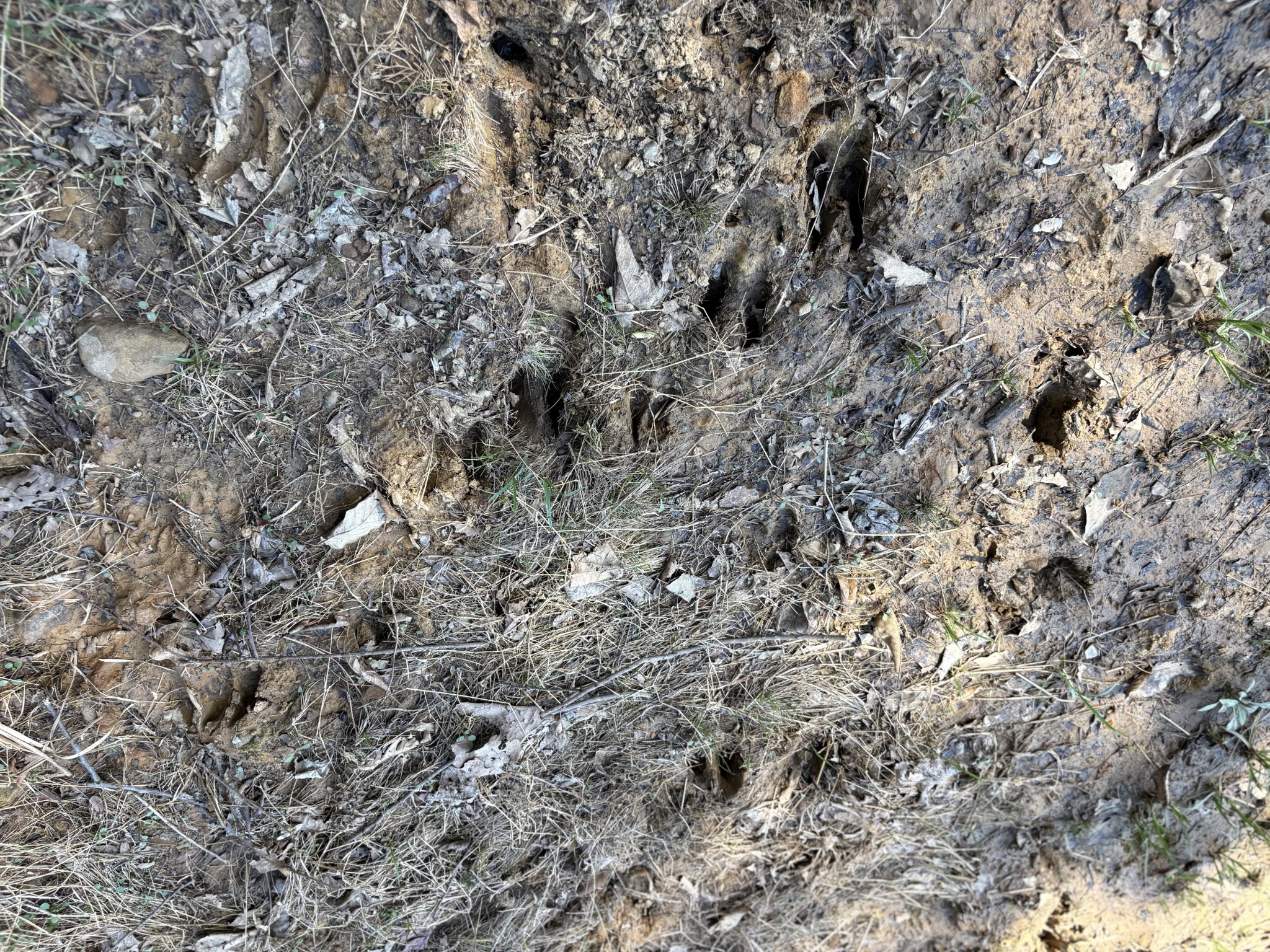 1000 State Route 831