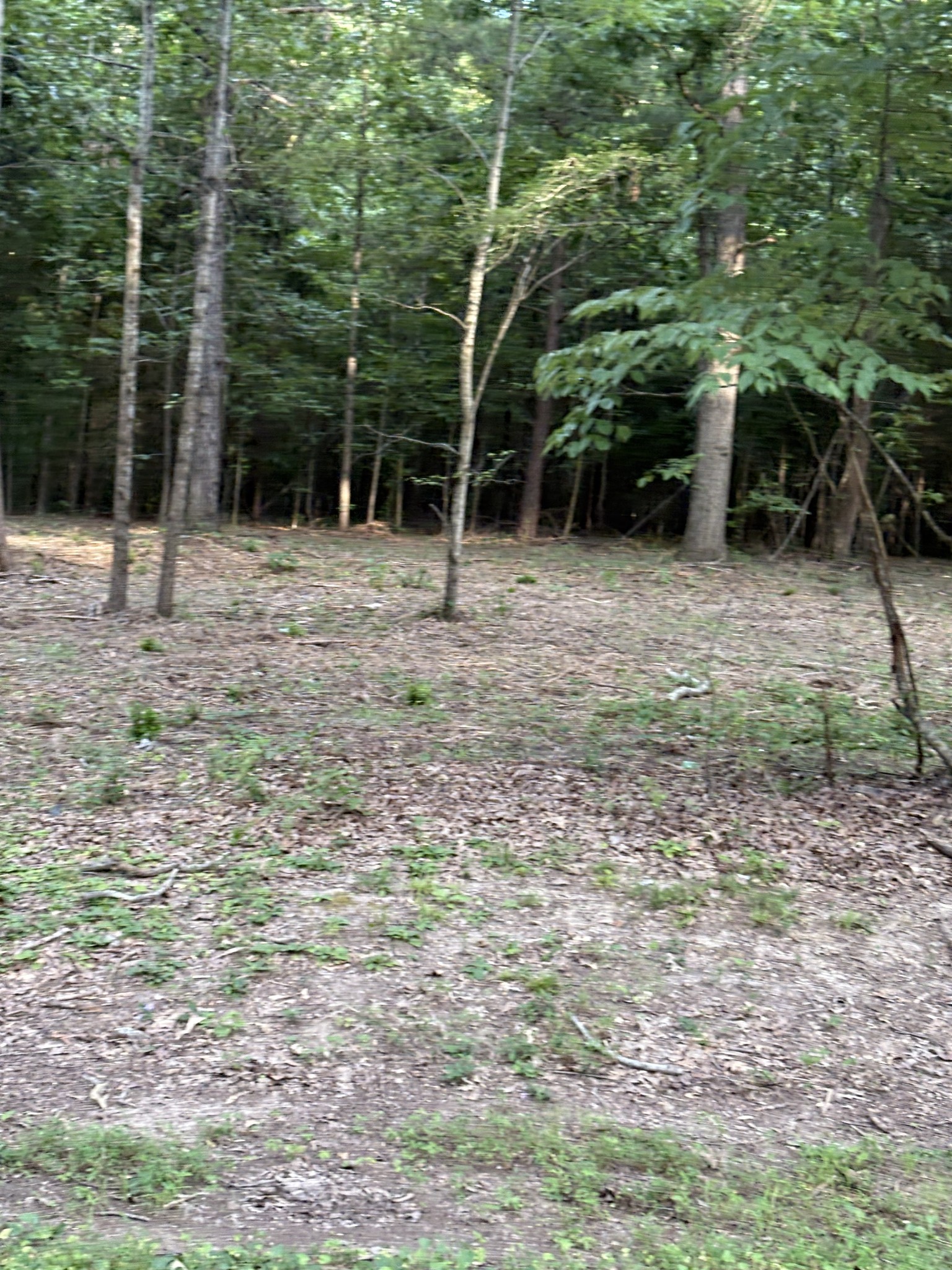 0 Iron Hill