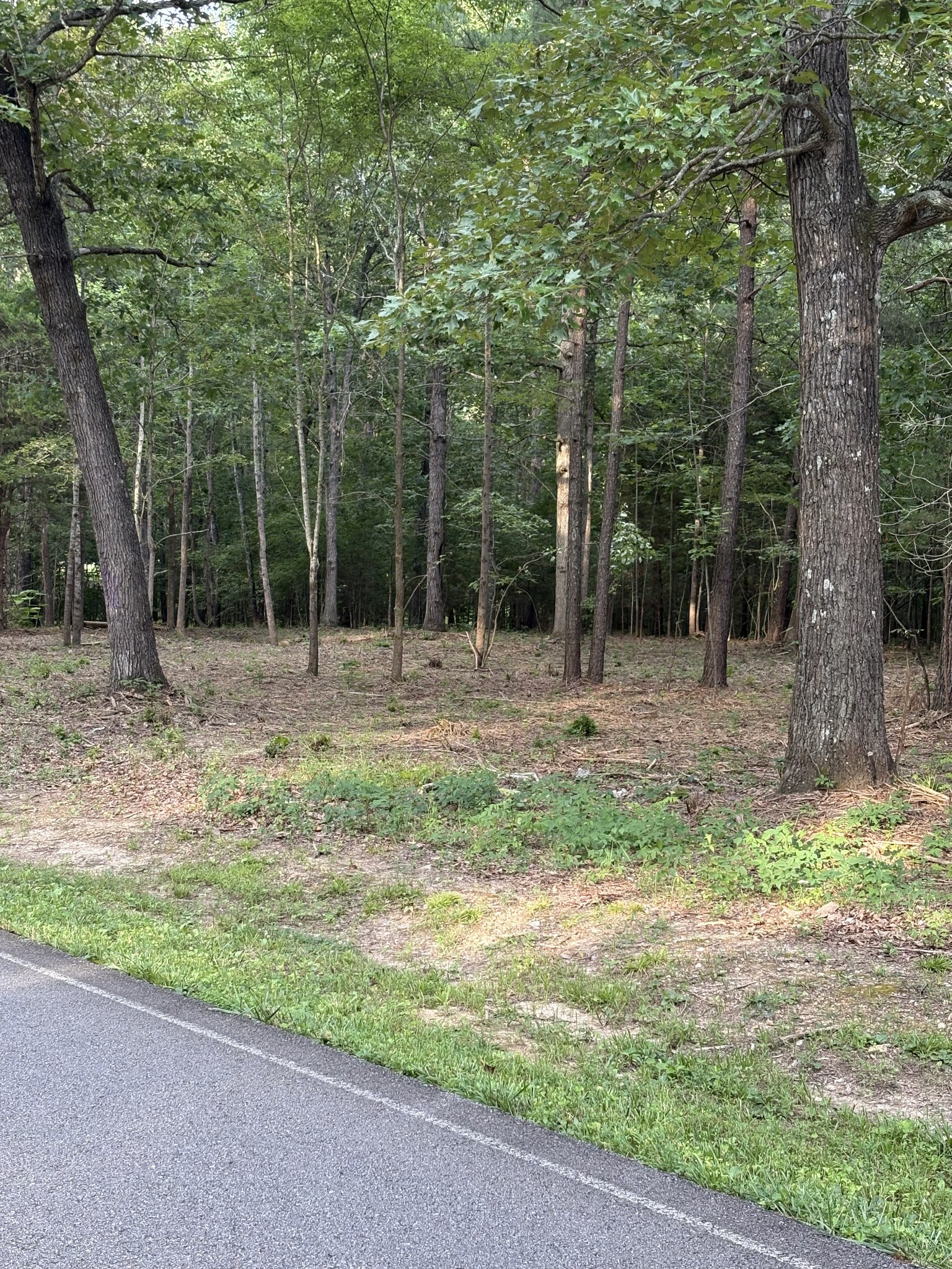 0 Iron Hill