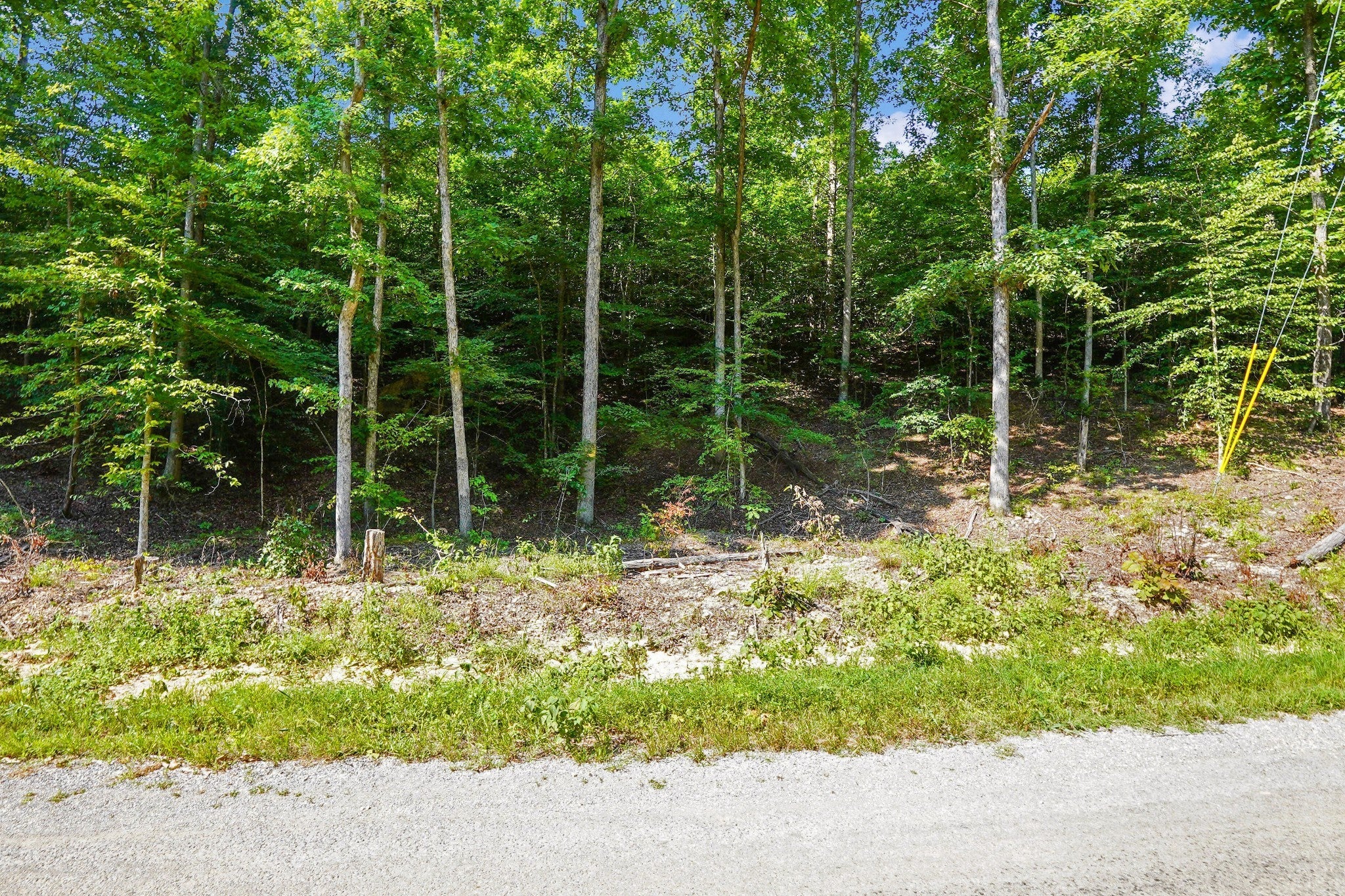 4 Cox Hollow Road