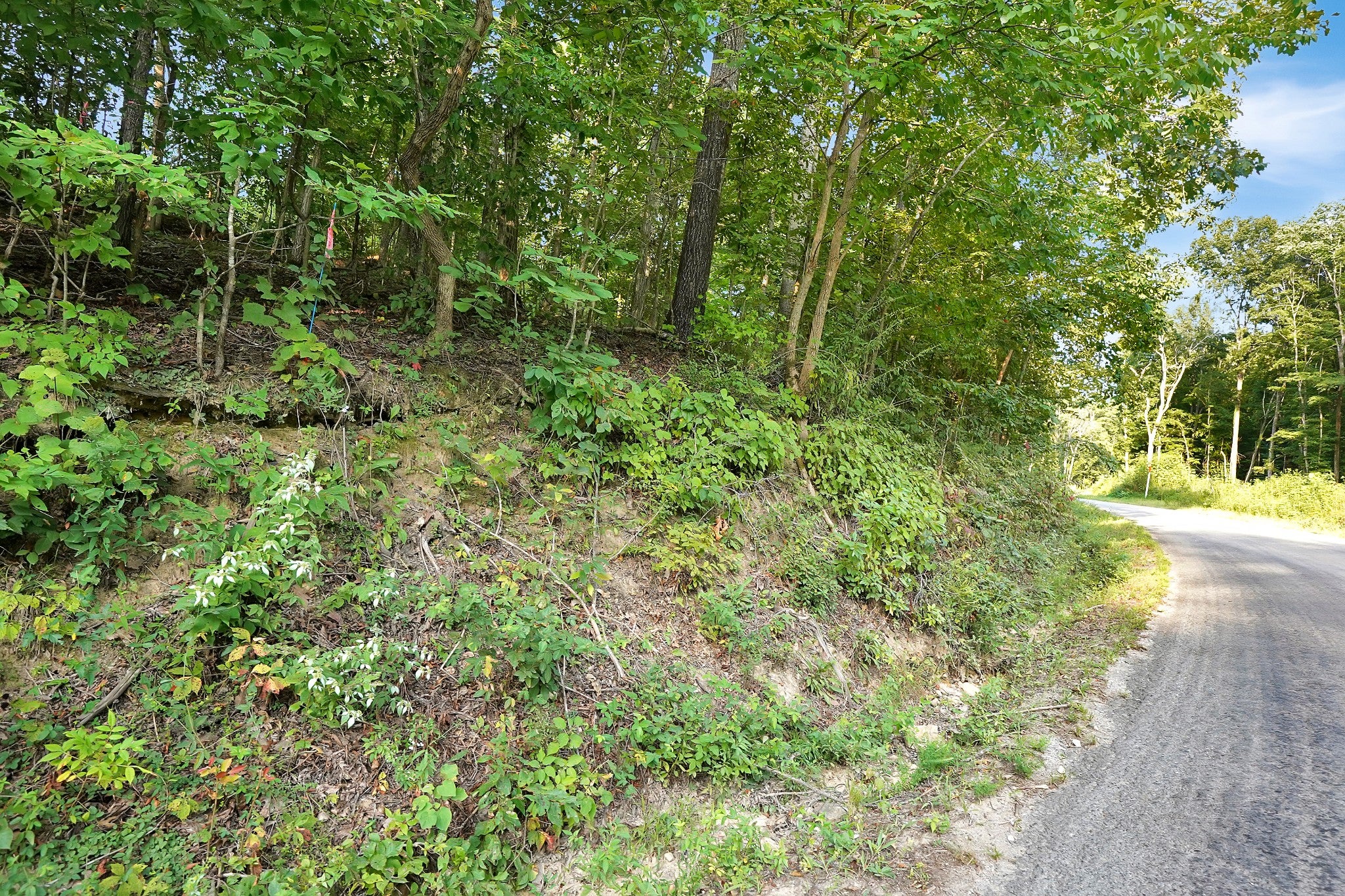 4 Cox Hollow Road
