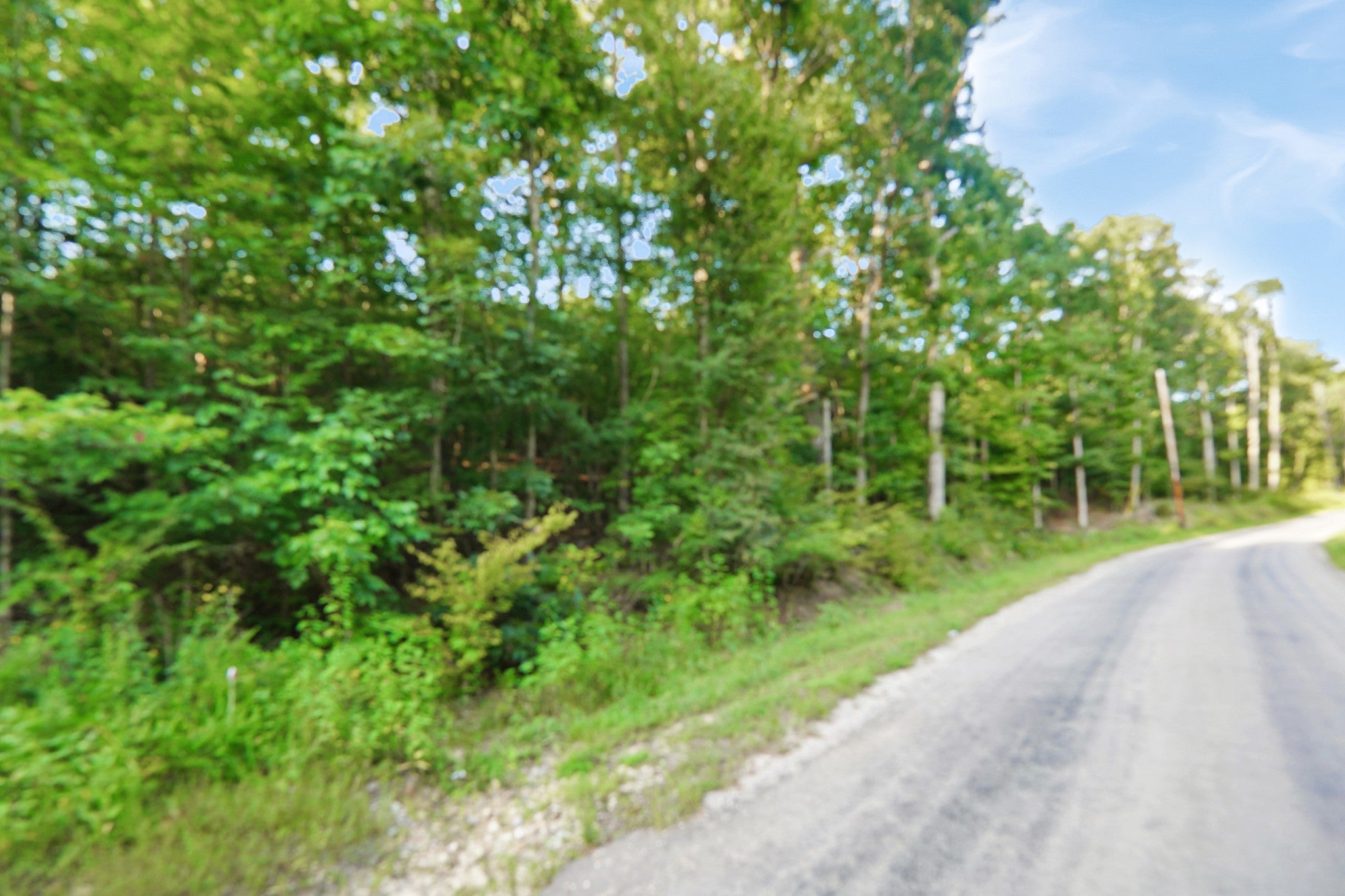 4 Cox Hollow Road