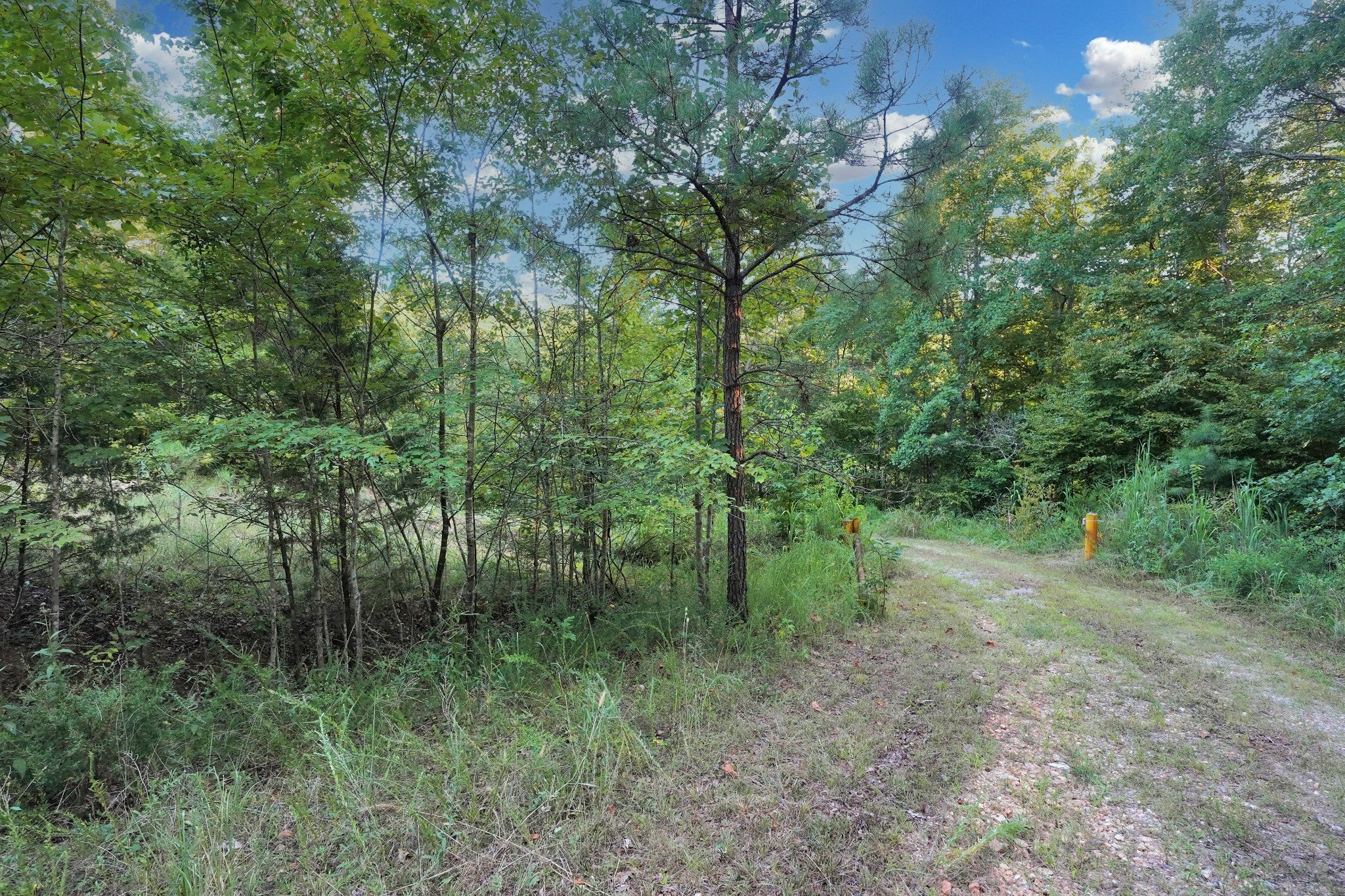 4 Cox Hollow Road