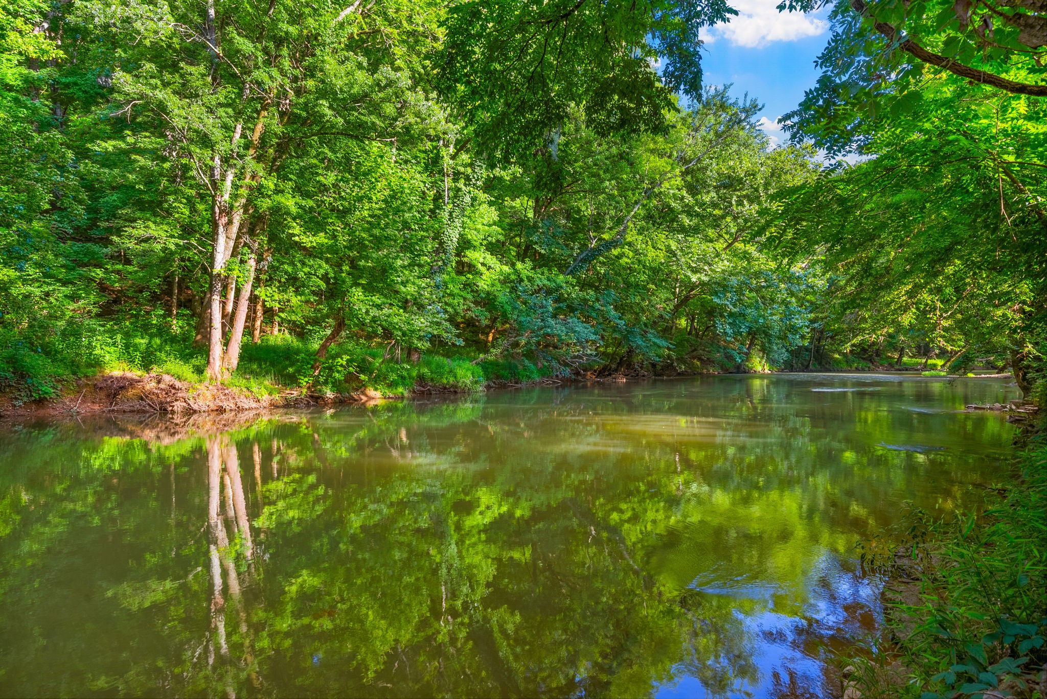 Clarksville, Tennessee 37042, United States, 3 Bedrooms Bedrooms, ,2 BathroomsBathrooms,Residential,Active,168150