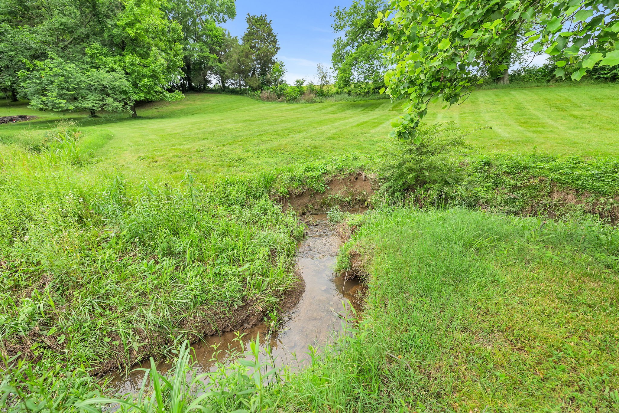 2028 Lewisburg Pike
