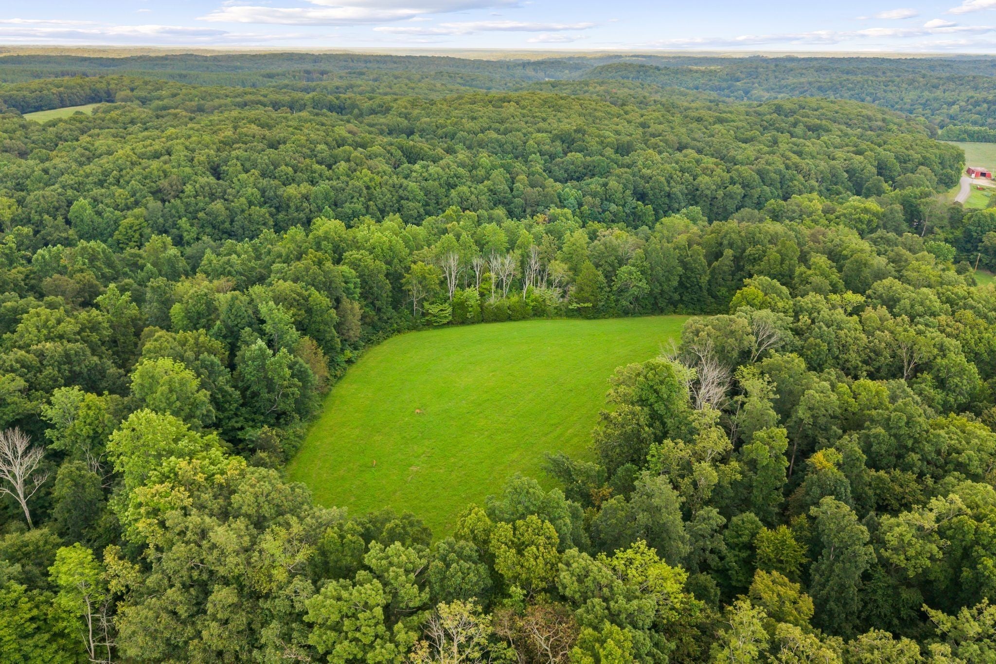 1150 Bell Hollow Rd