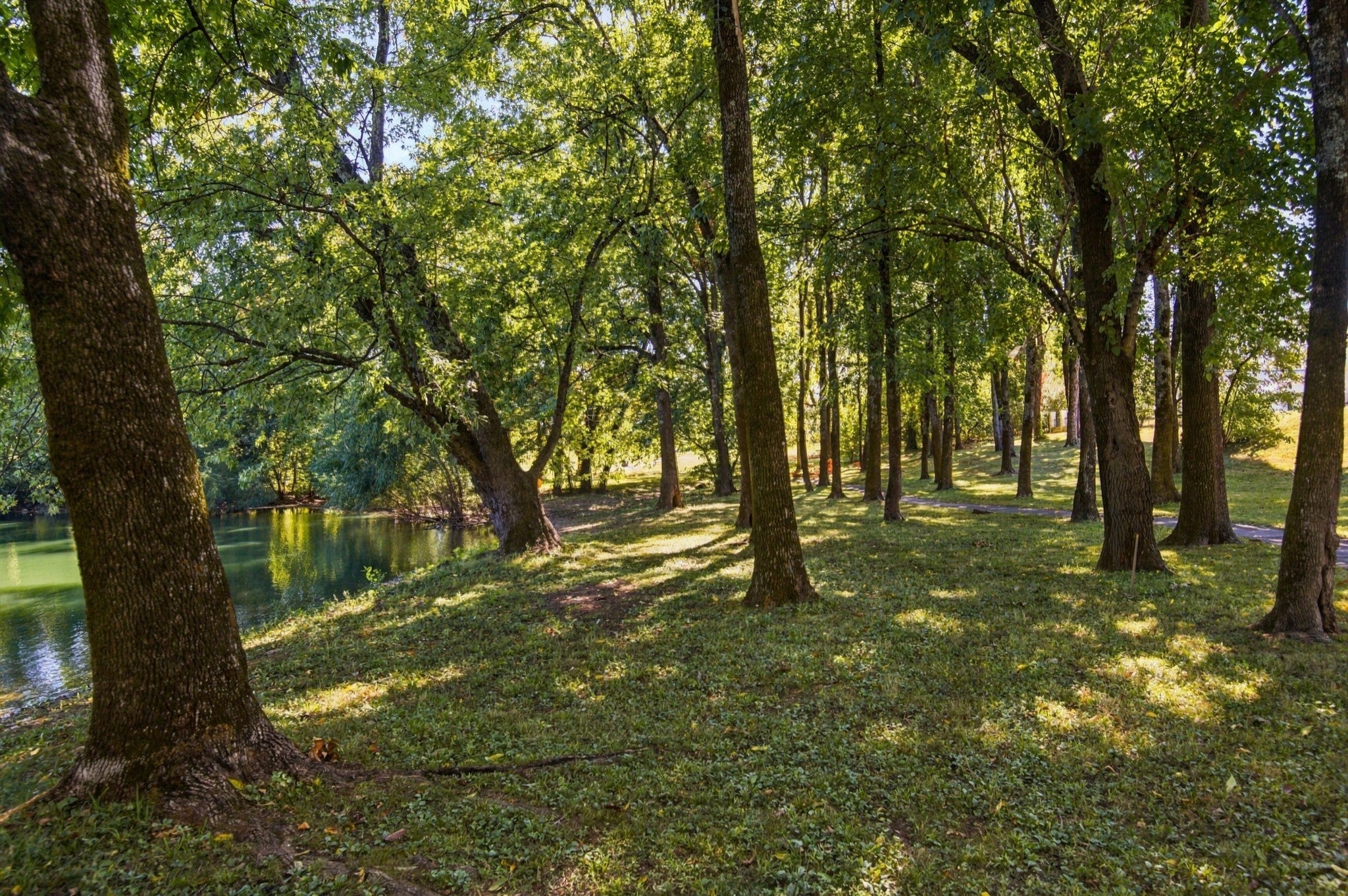 602 Bradyville Pike