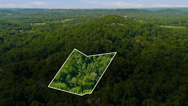 3 SAINT JAMES PL, NASHVILLE, TN 37215 - Image 4e84405a3c7907d3d6431f82d17eb821/4238218806