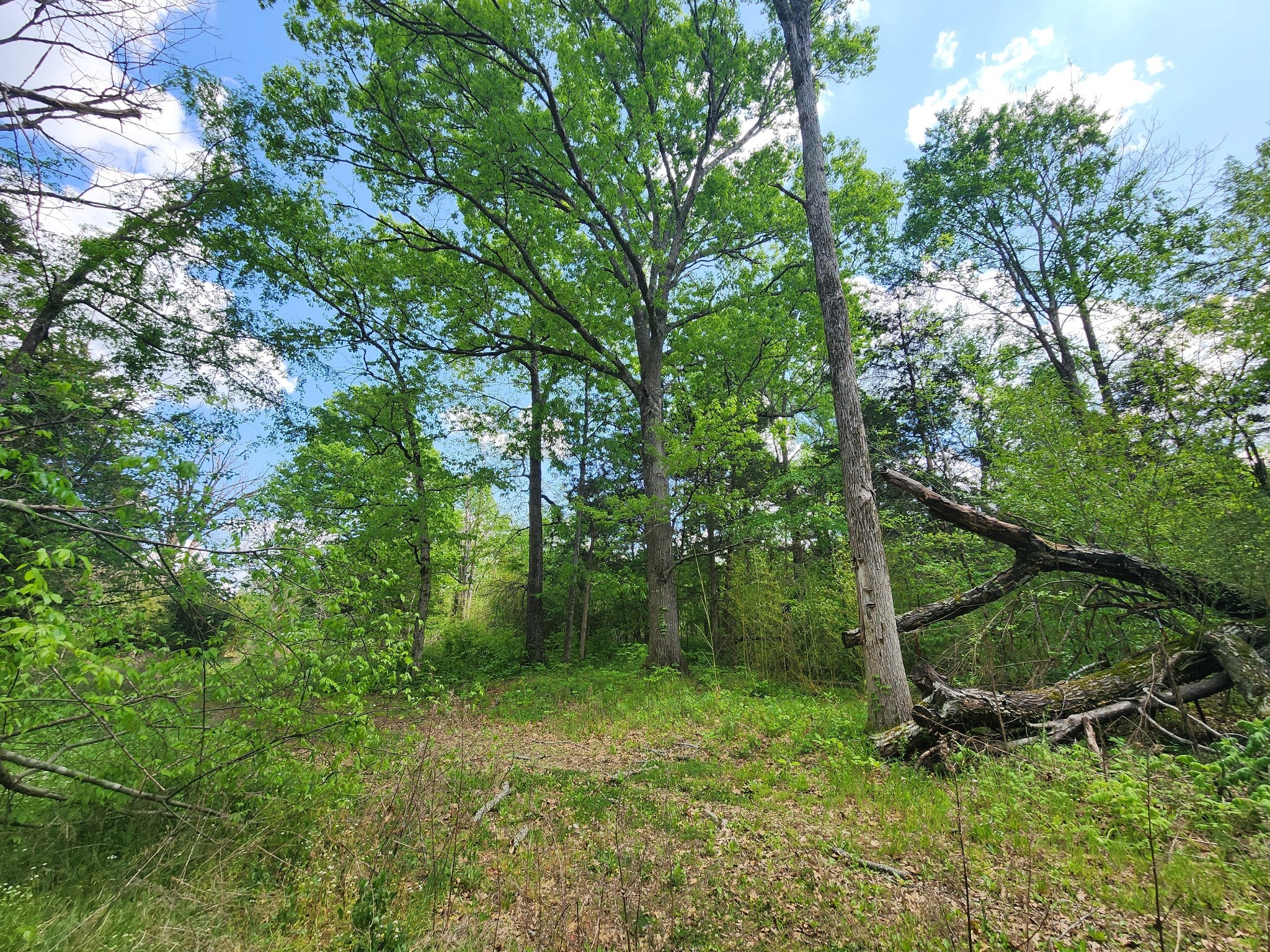 0 Murray Kittrell Rd