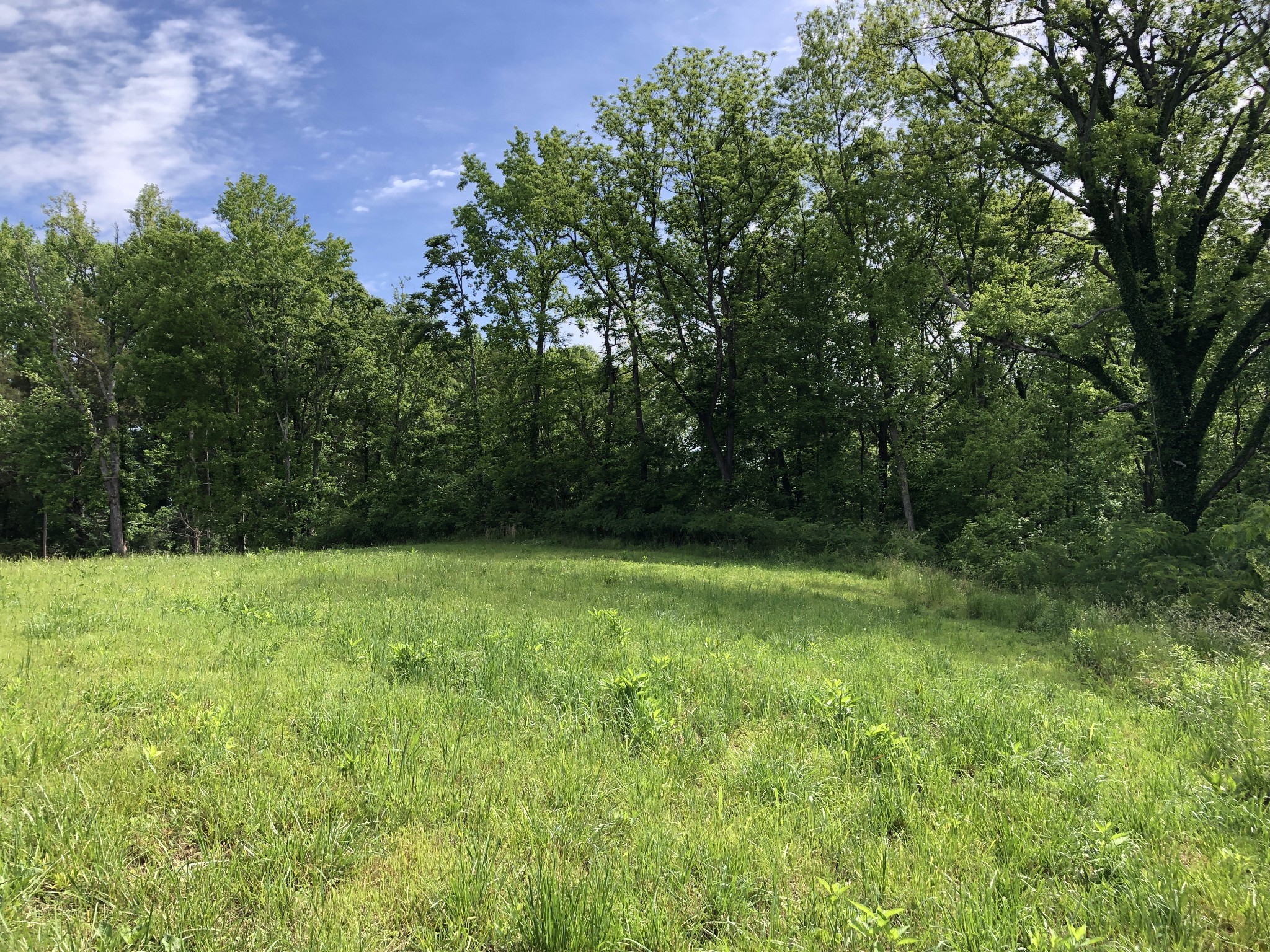 0 Blue Springs Rd