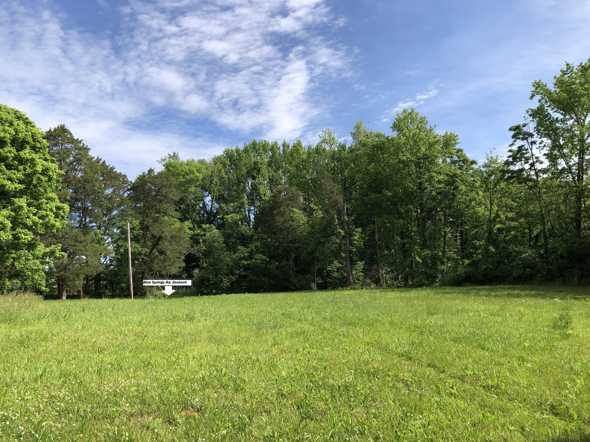 0 Blue Springs Rd