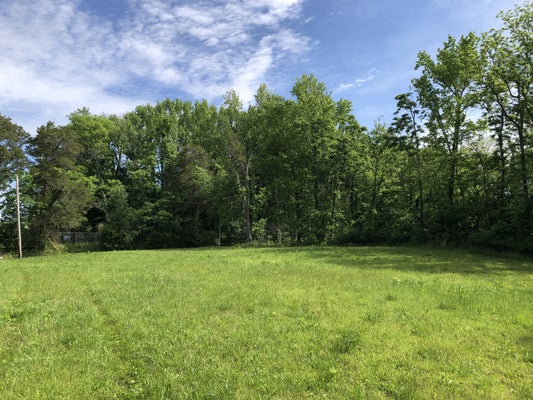 0 BLUE SPRINGS RD, DECHERD, TN 37324 - Image 4eabb564b297d92414bdfade1ec19dcc/4057540862