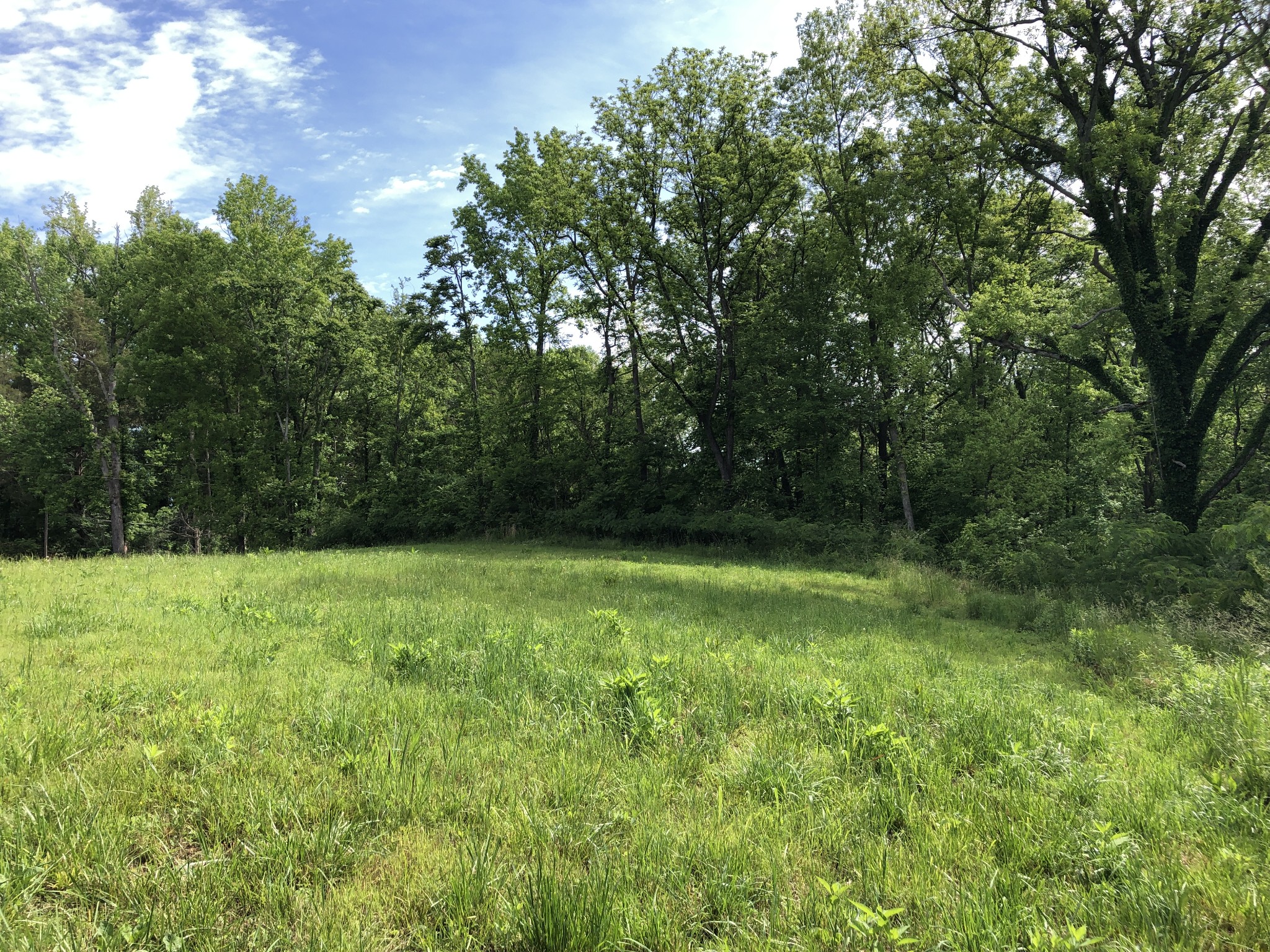 0 Blue Springs Rd