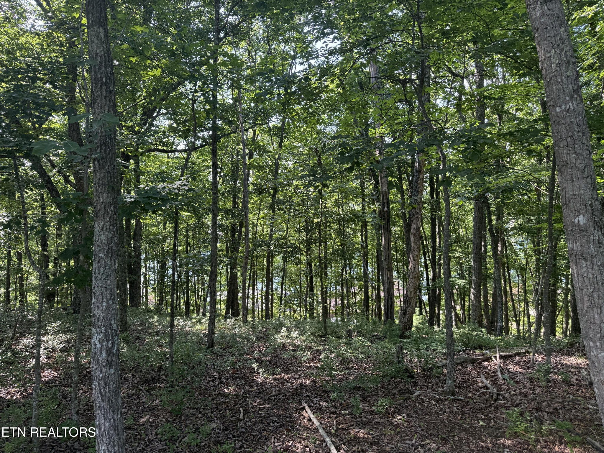 0 Markham Lane