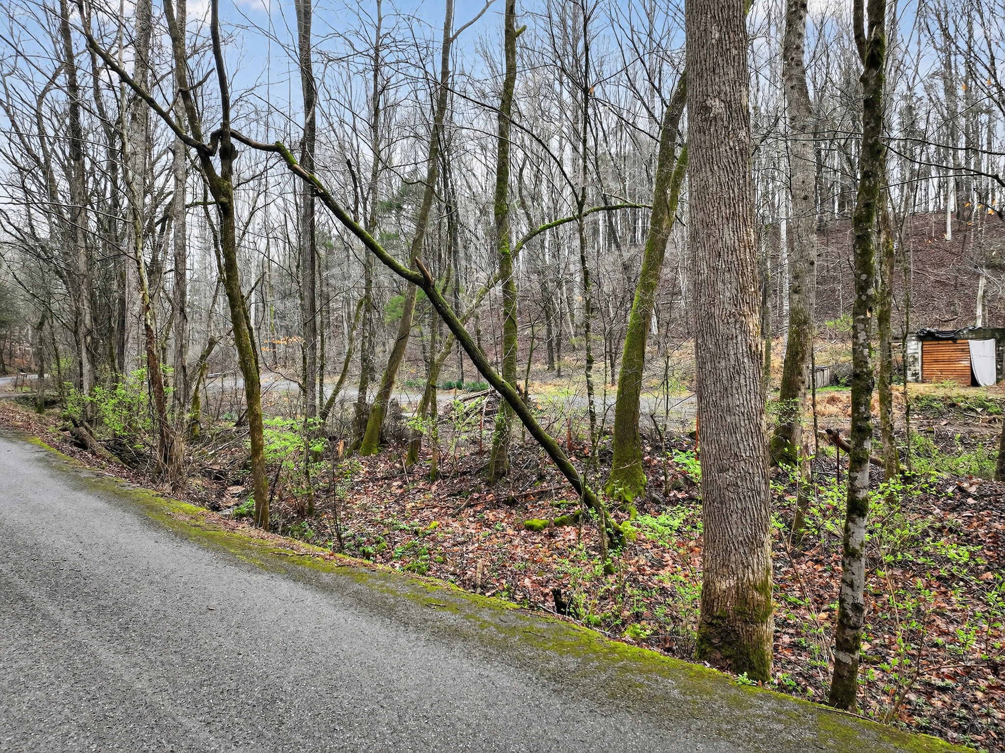 627 Stewart Hollow Rd