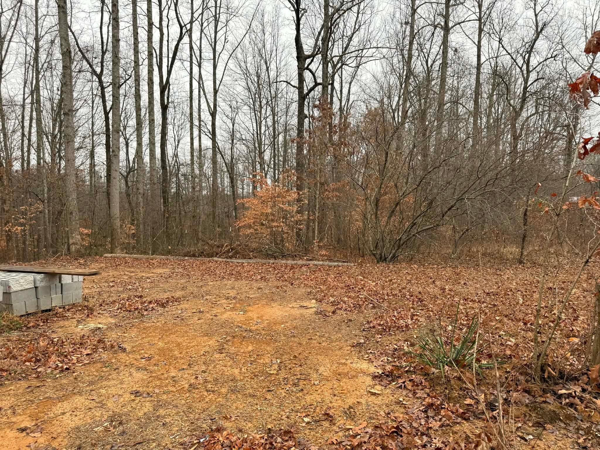 0 Periwinkle Path