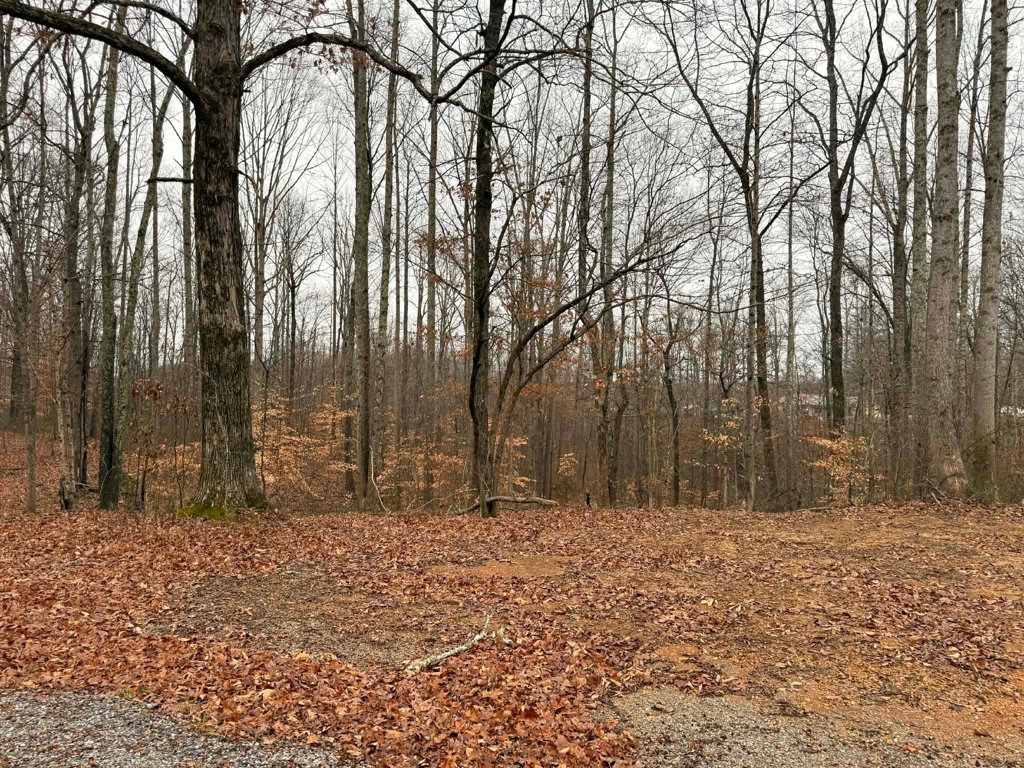 0 Periwinkle Path