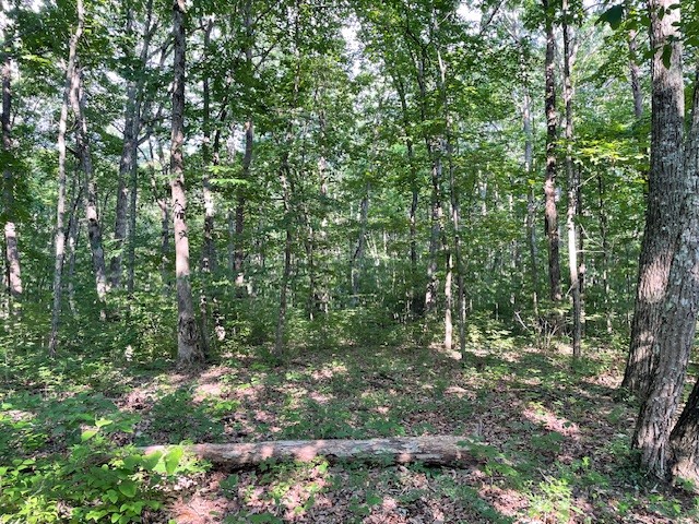 0 Eagle Nest Rd