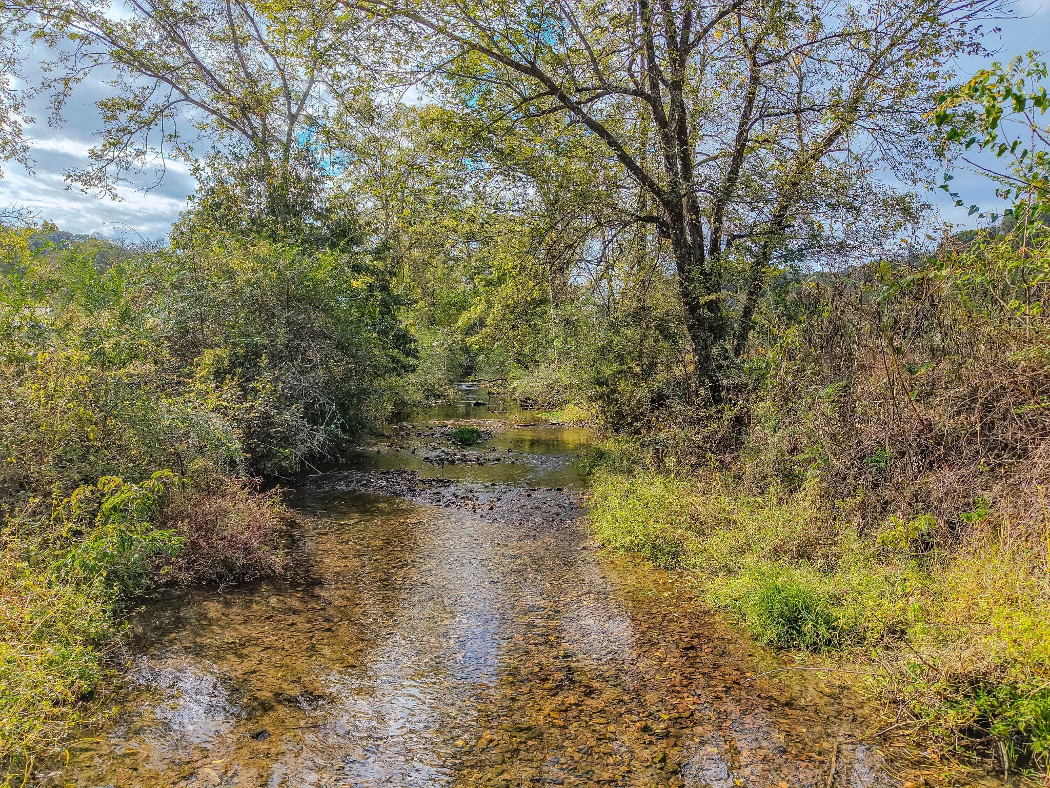 1905 Weakley Creek Rd