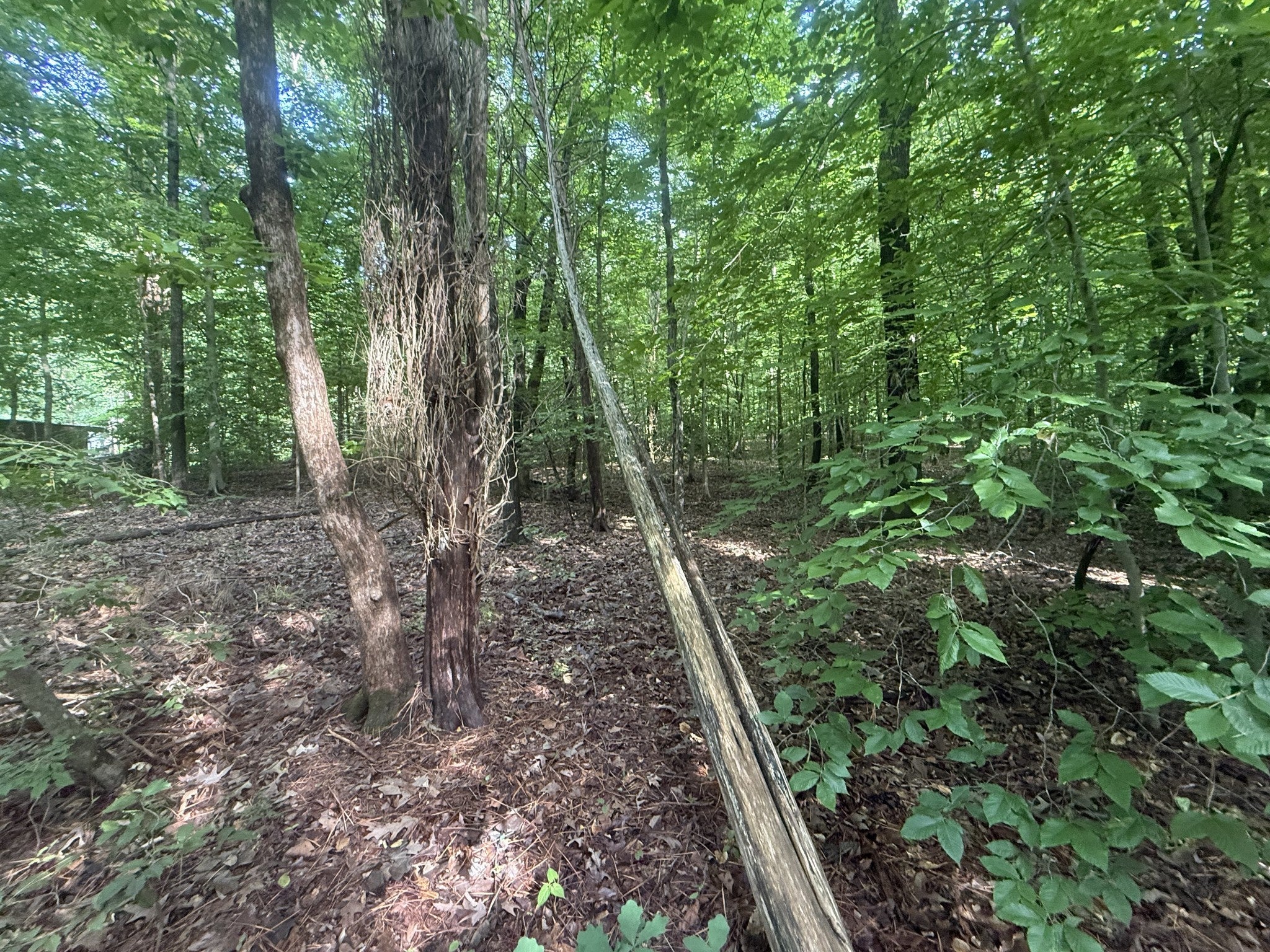 0 Caney Creek Rd