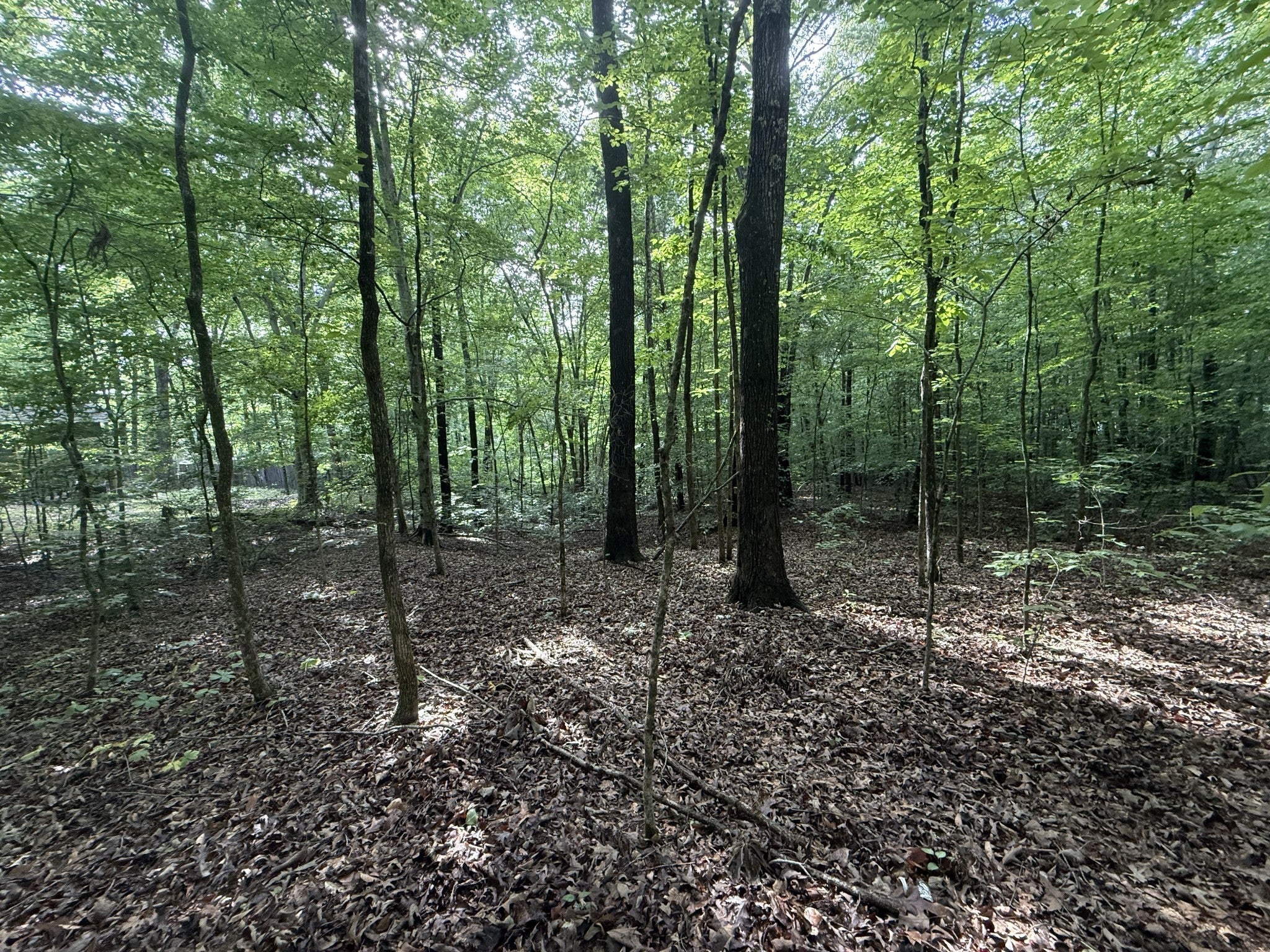 0 Caney Creek Rd