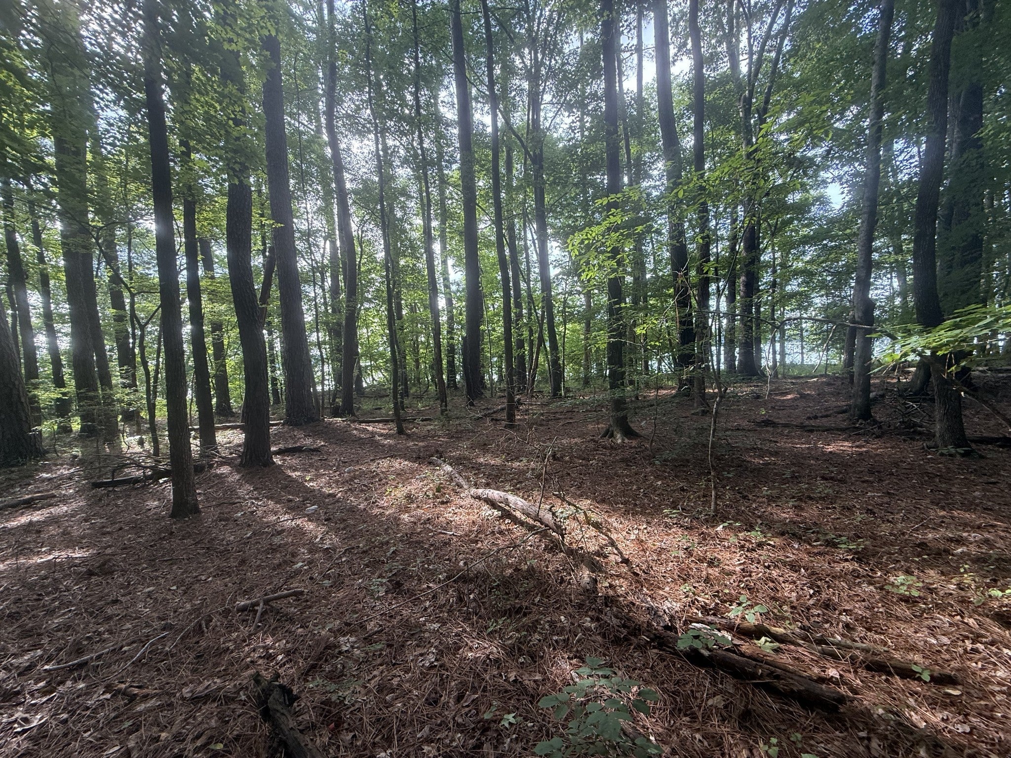 0 Caney Creek Rd
