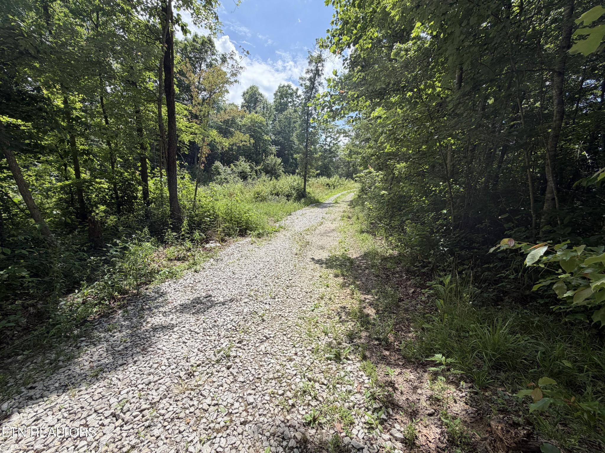 768 Remington Rd