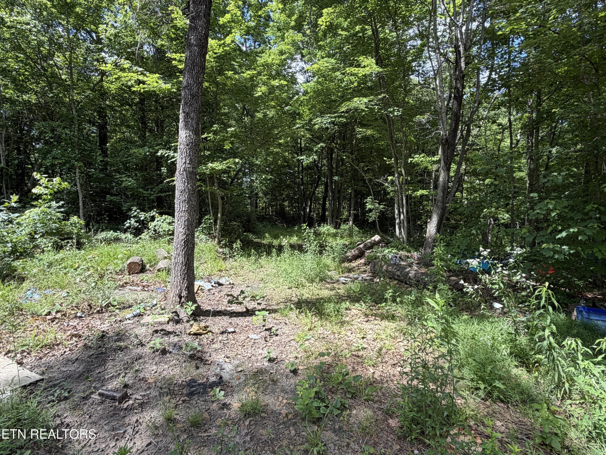 768 Remington Rd