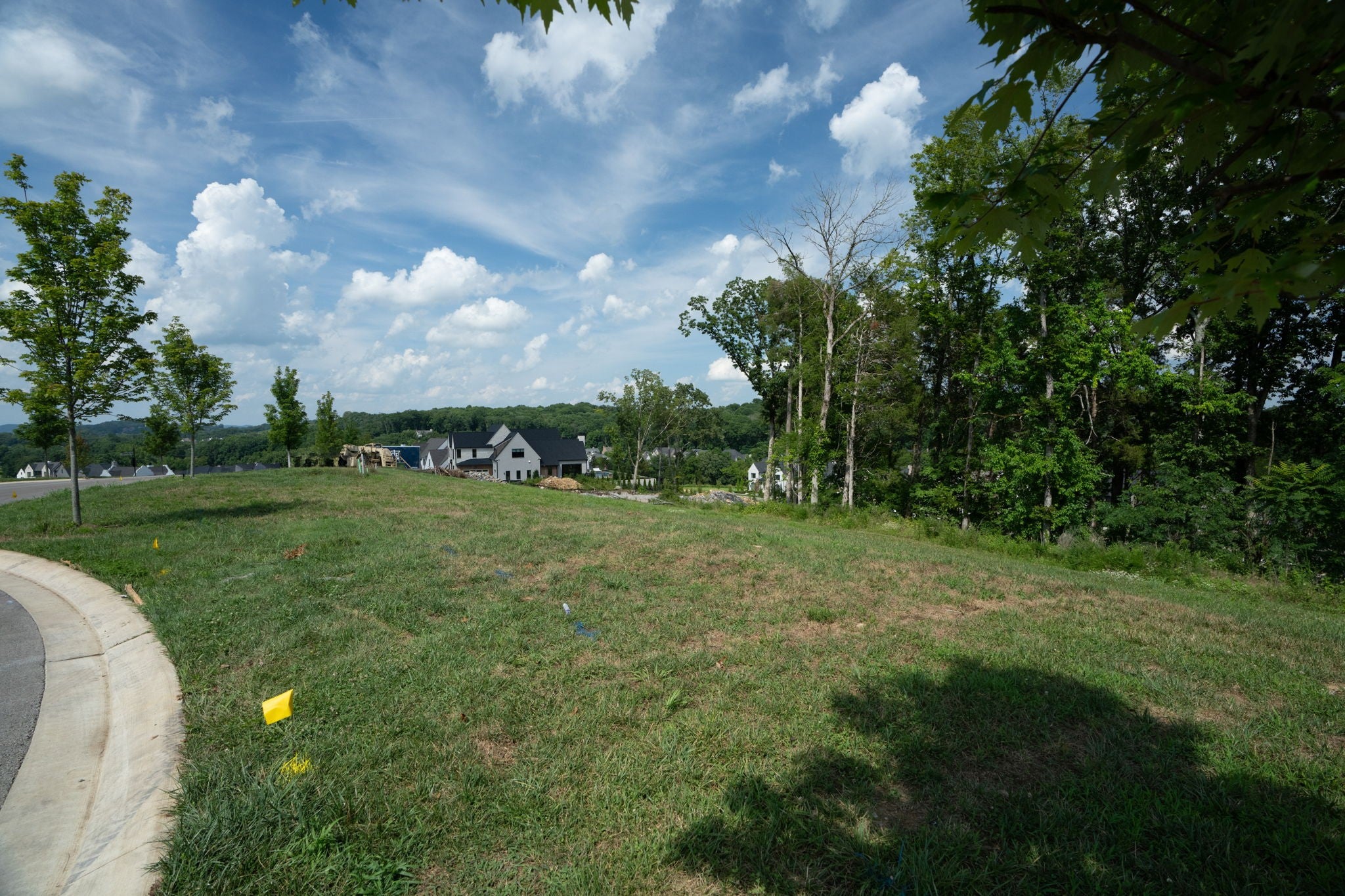 0-bed lot for sale in College Grove, TN 37046, 8757 Weller Ln 8757 Weller Ln, College Grove TN 37046 0-bed lot, photo 3 of 14