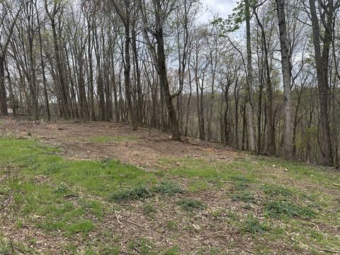 0 Maggart Rd Elmwood TN 38560