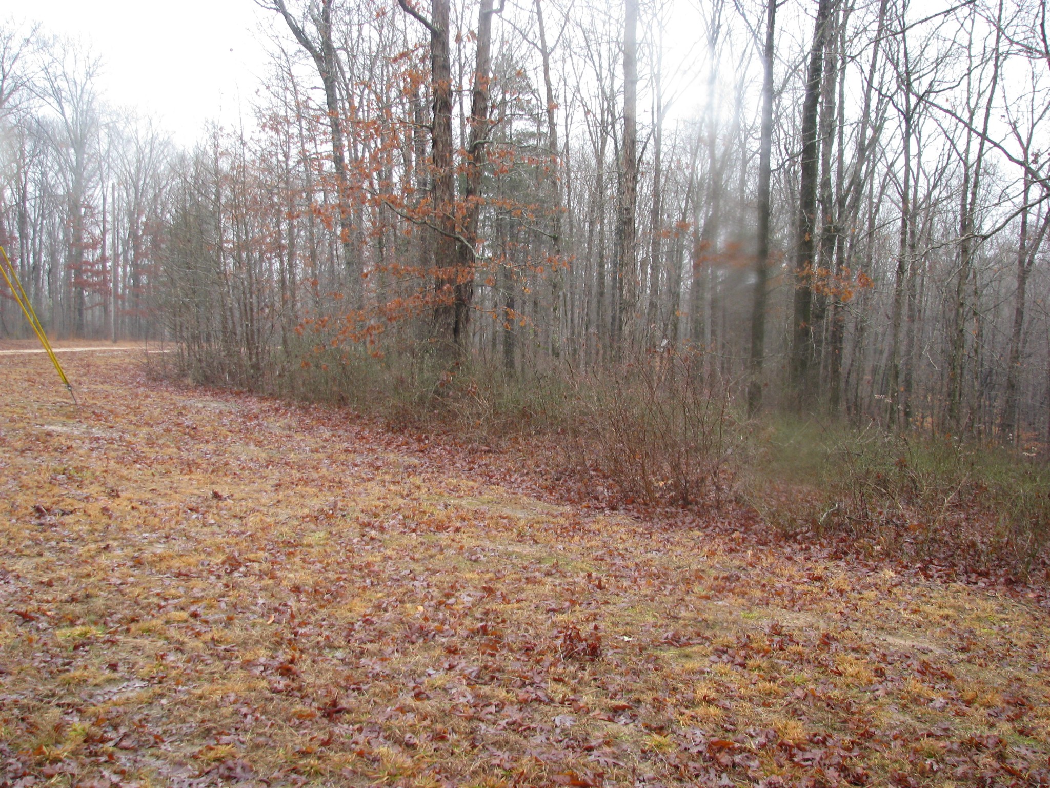 Middle Tennessee Properties 3 0 Three Rivers Drive