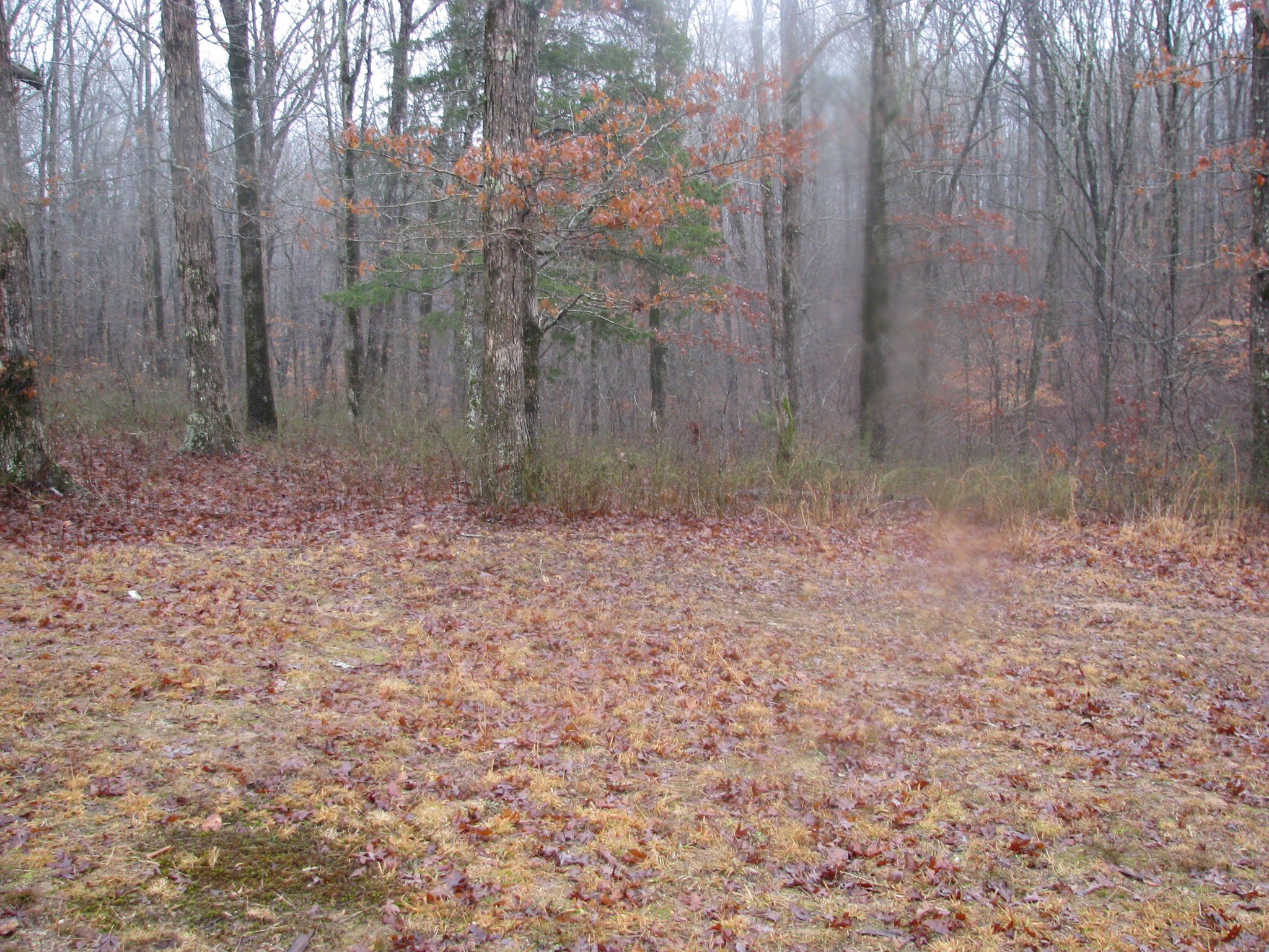 Middle Tennessee Properties 2 0 Three Rivers Drive