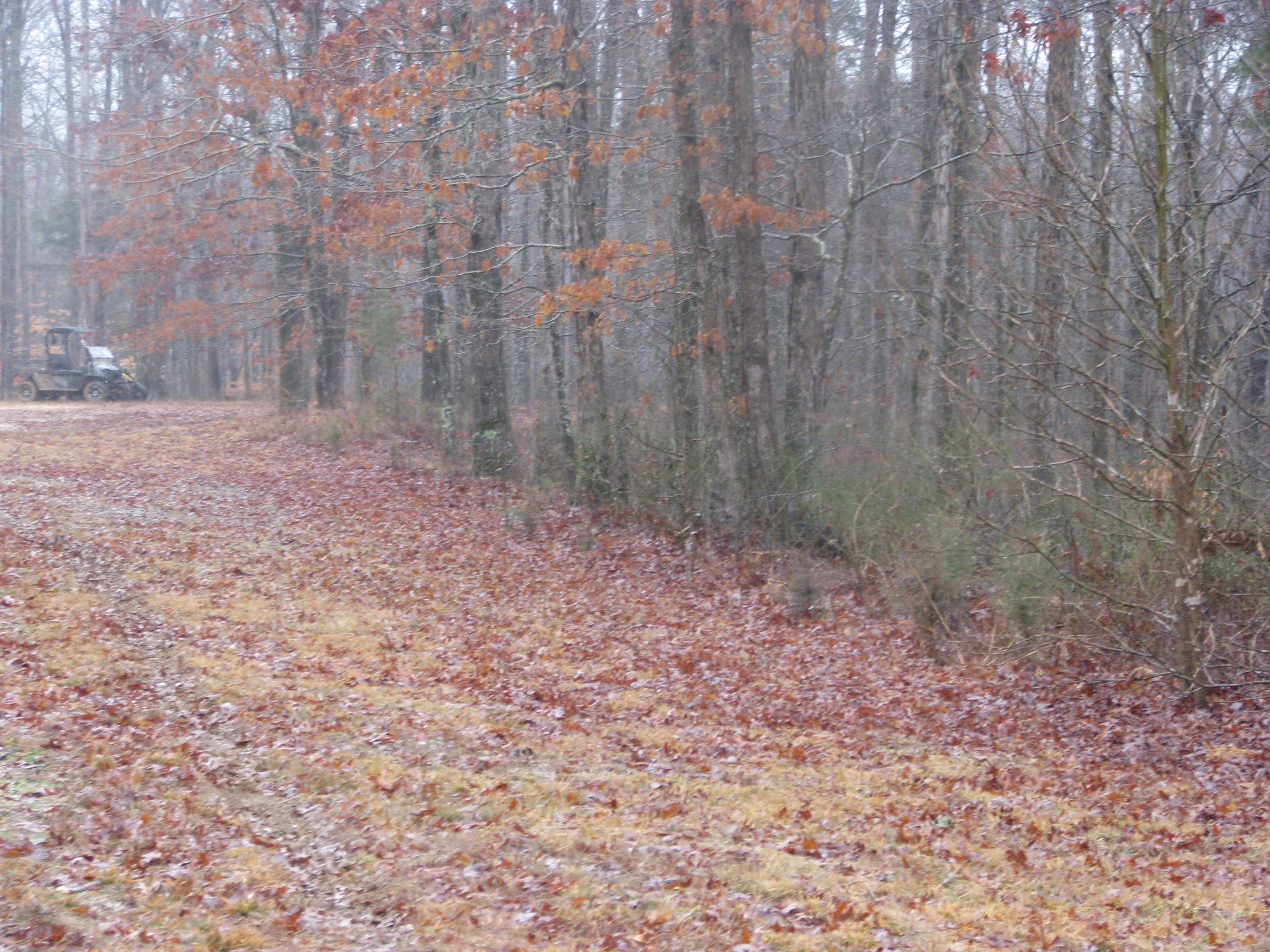 Middle Tennessee Properties 4 0 Three Rivers Drive