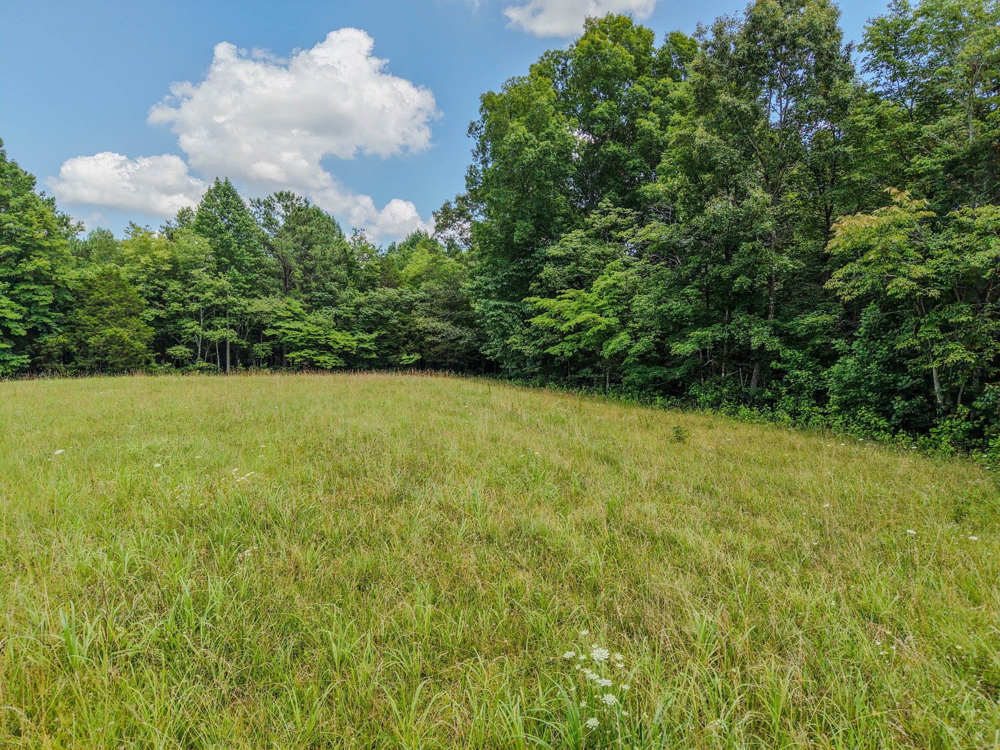 215 Clear Creek Rd
